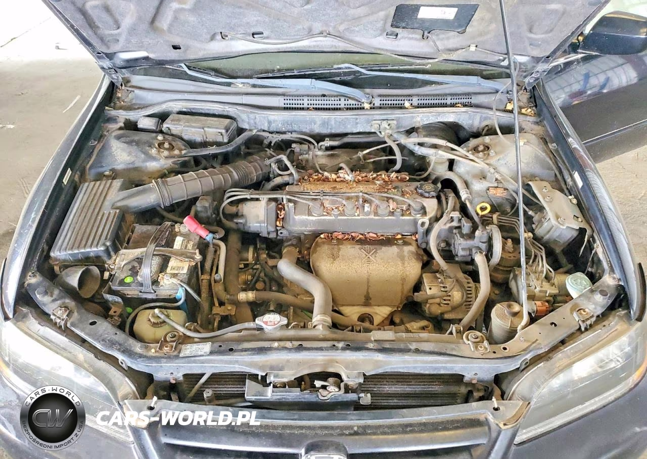 2002 Honda Accord Ex VIN:JHMCG66022C023685 - 11