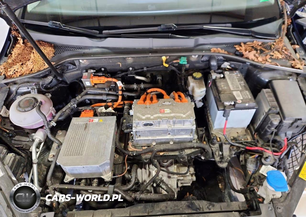 2019 Volkswagen E-Golf Se VIN:WVWKR7AU1KW910684 - 11