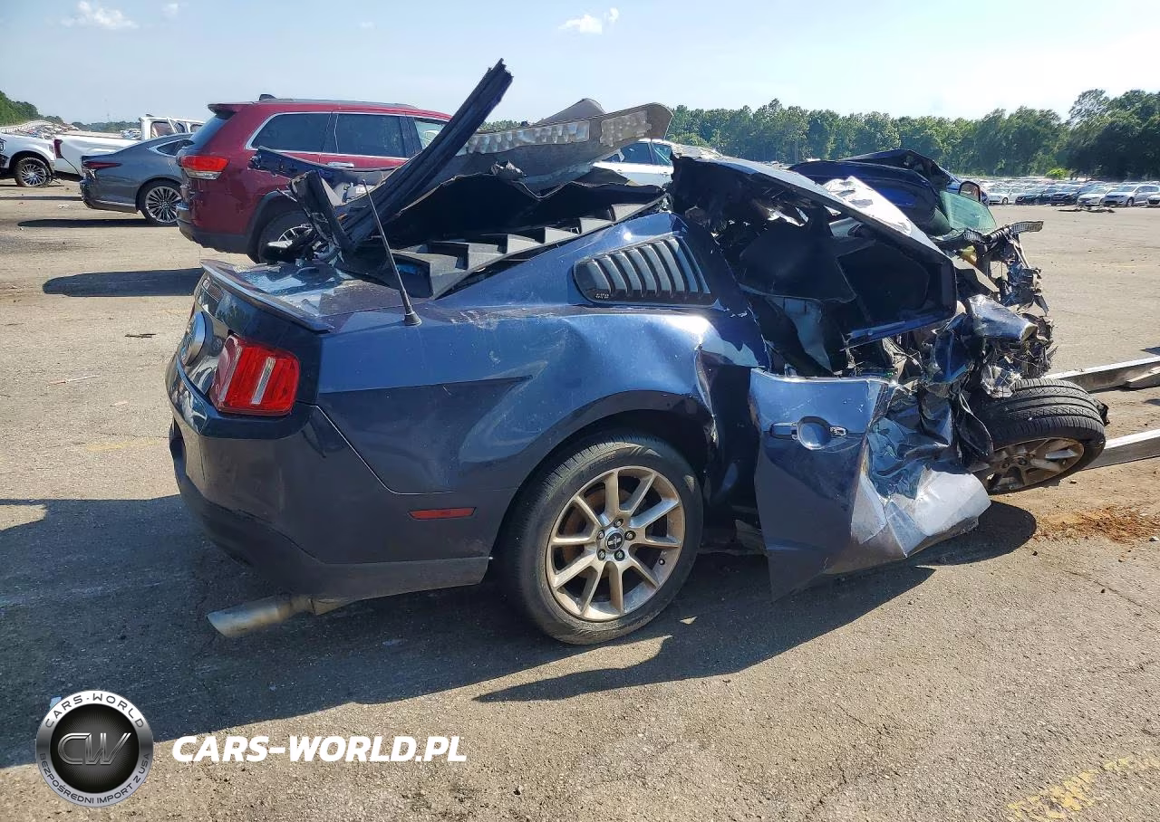 2010 Ford Mustang Gt VIN:1ZVBP8CH7A5133988 - 3