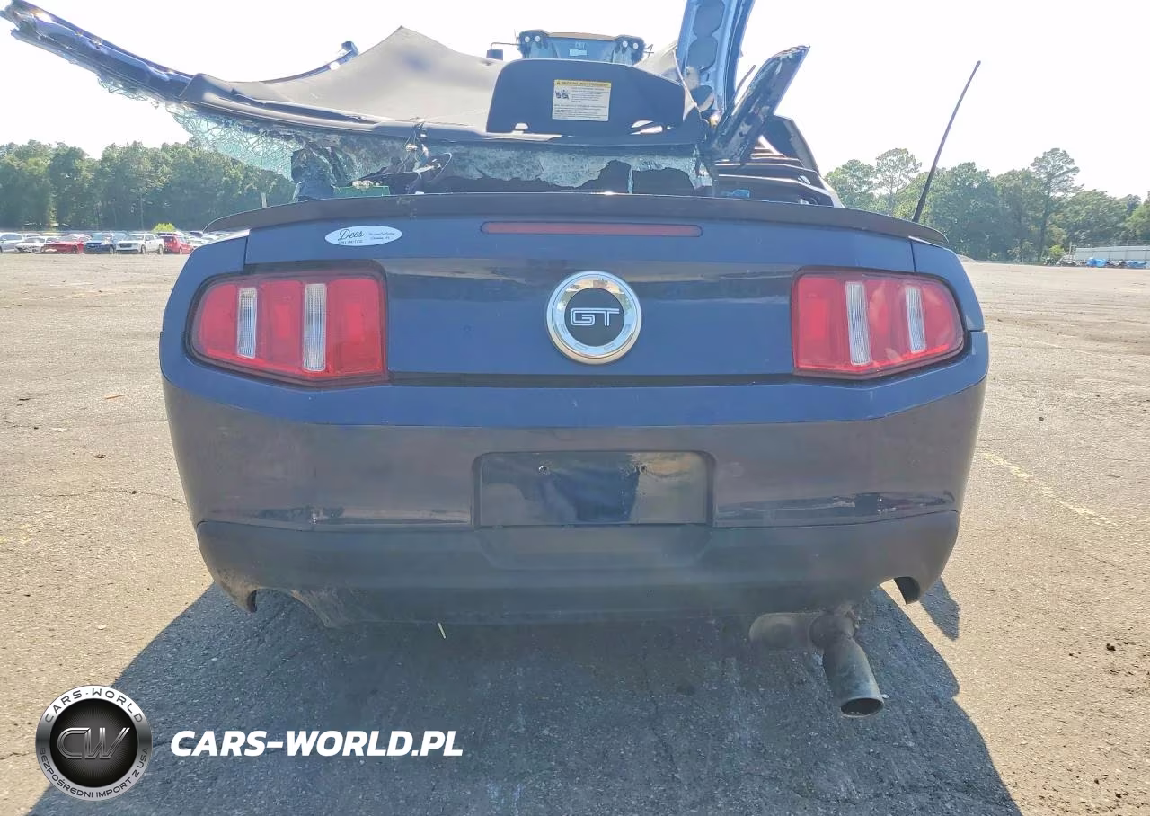 2010 Ford Mustang Gt VIN:1ZVBP8CH7A5133988 - 6