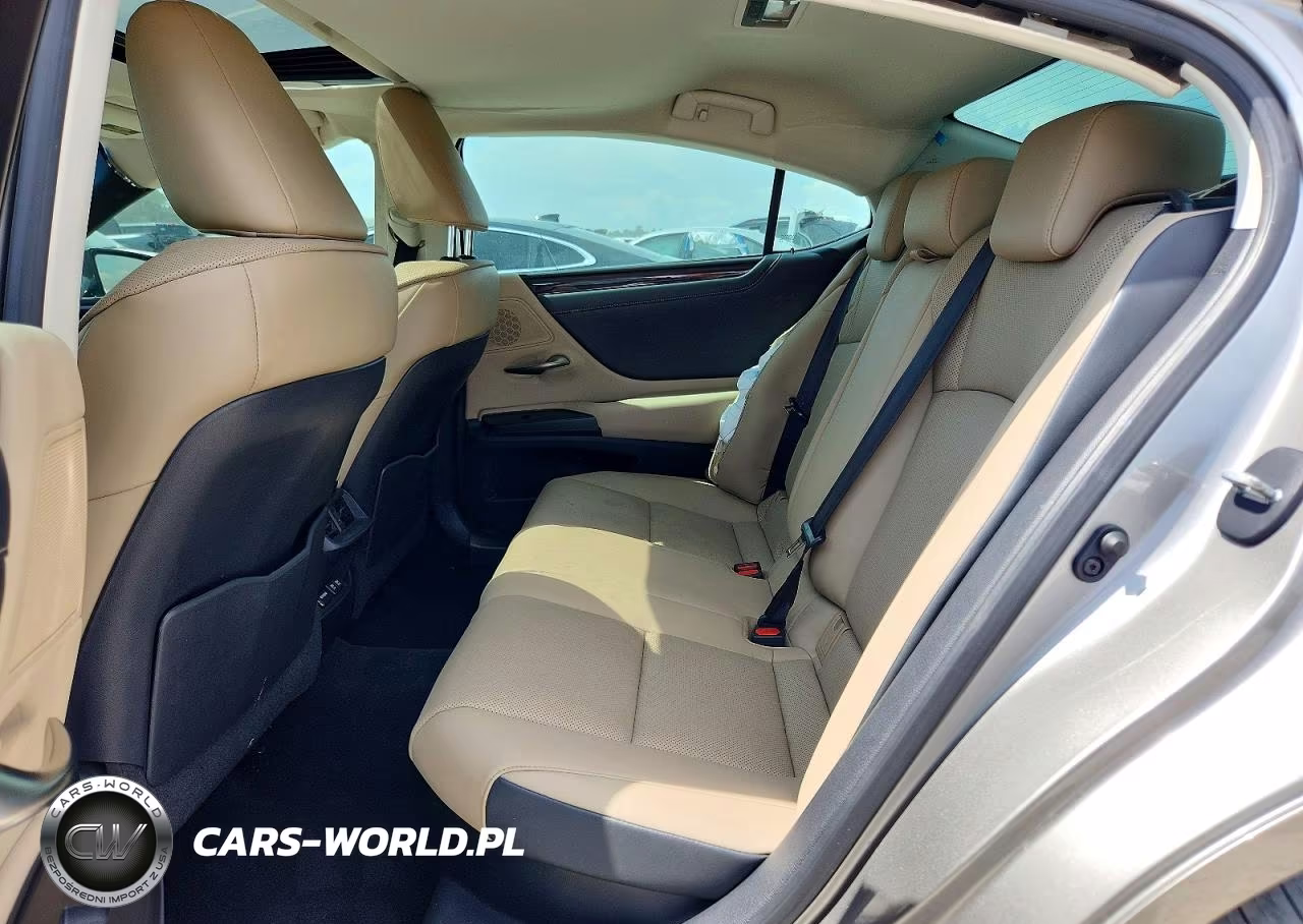 2020 Lexus Es 300H VIN:58AD21B17LU004510 - 10