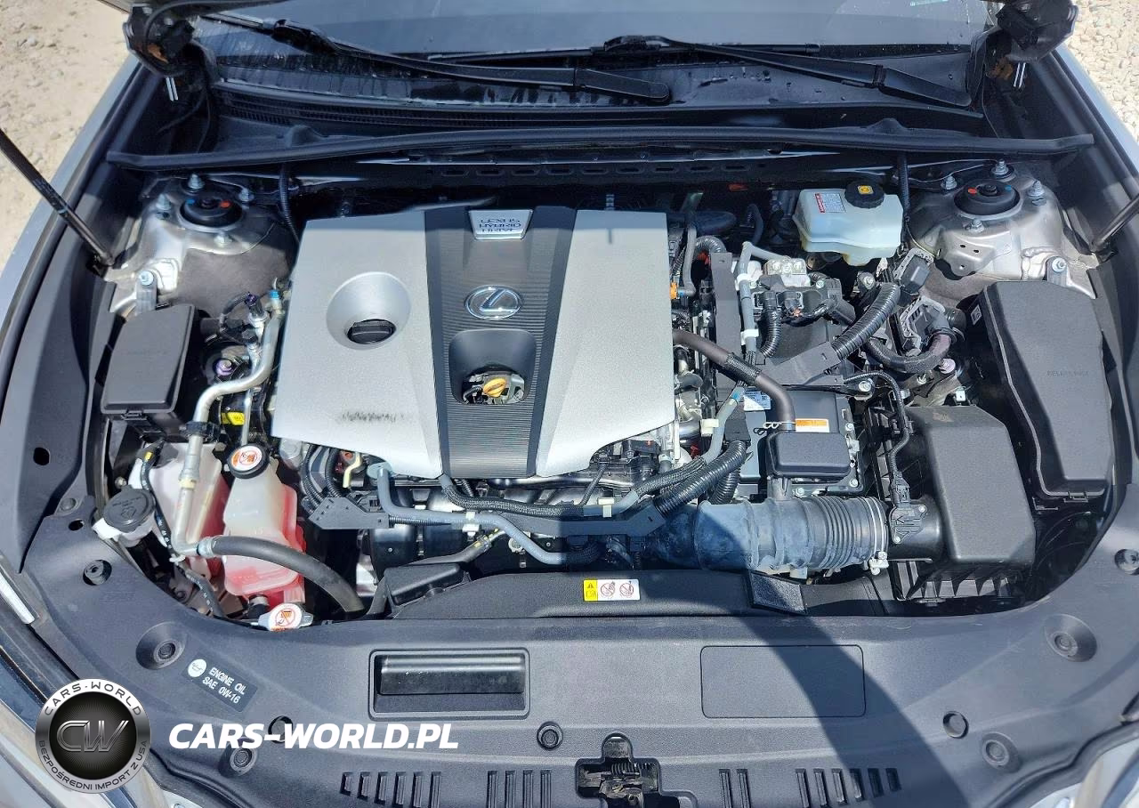 2020 Lexus Es 300H VIN:58AD21B17LU004510 - 11