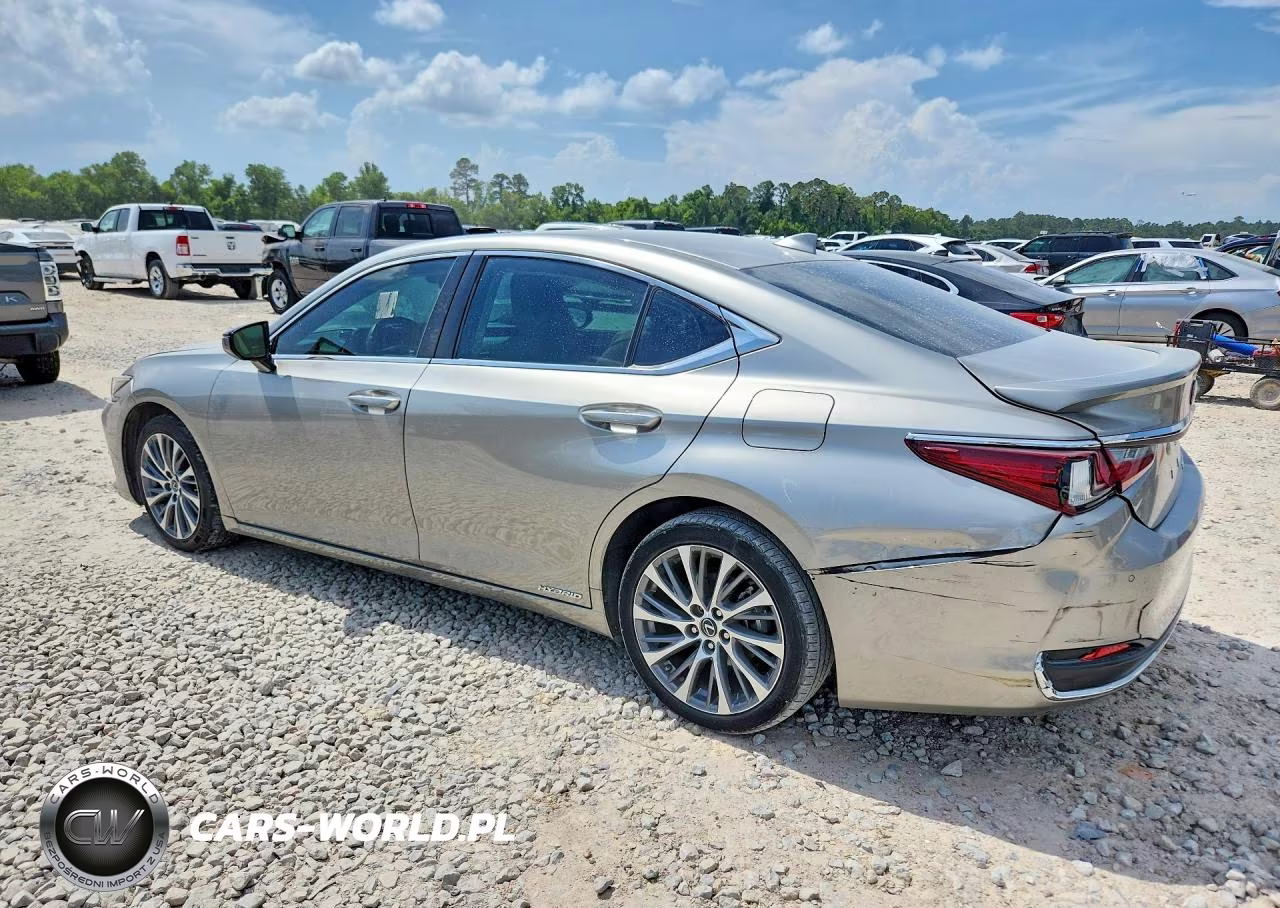 2020 Lexus Es 300H VIN:58AD21B17LU004510 - 2