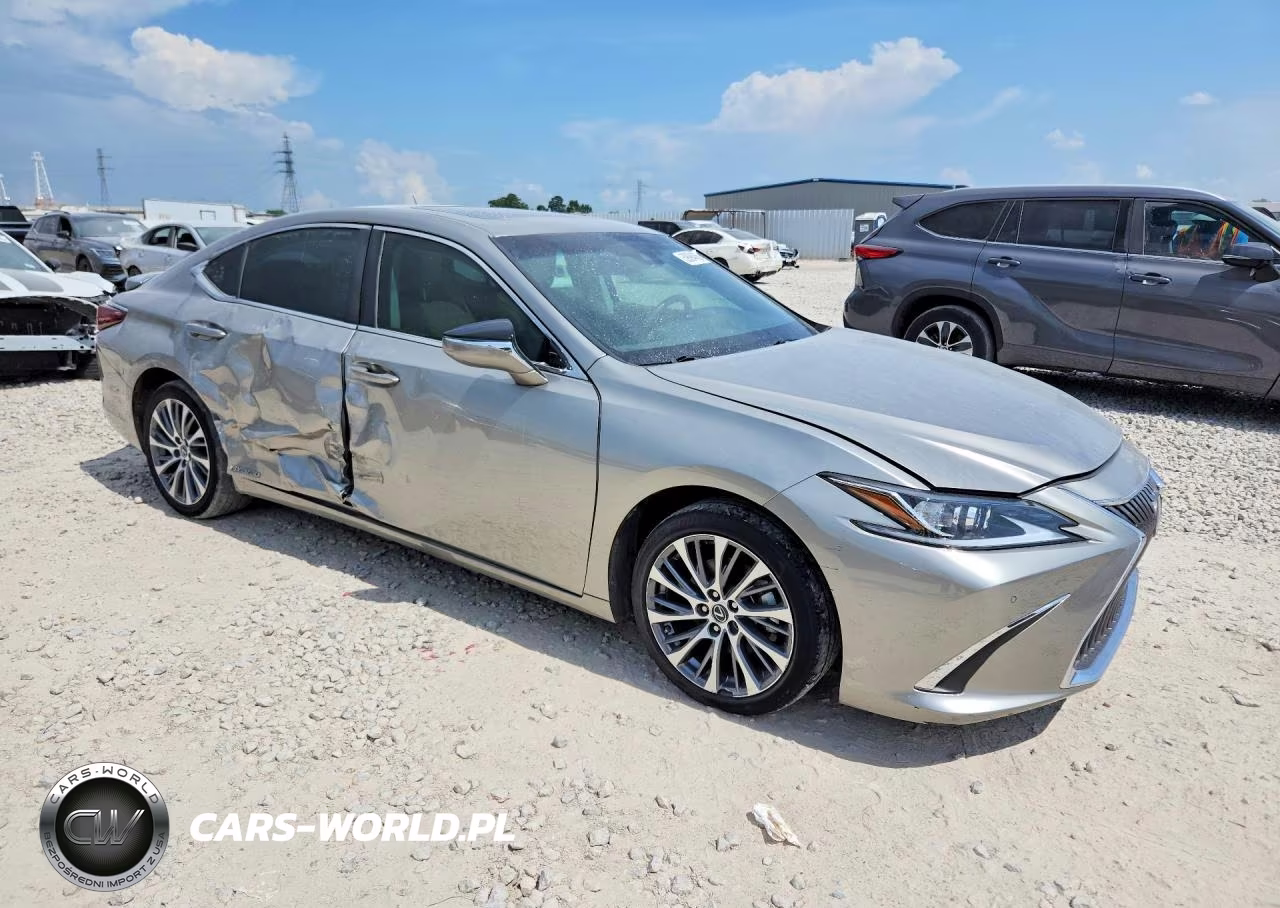 2020 Lexus Es 300H VIN:58AD21B17LU004510 - 4