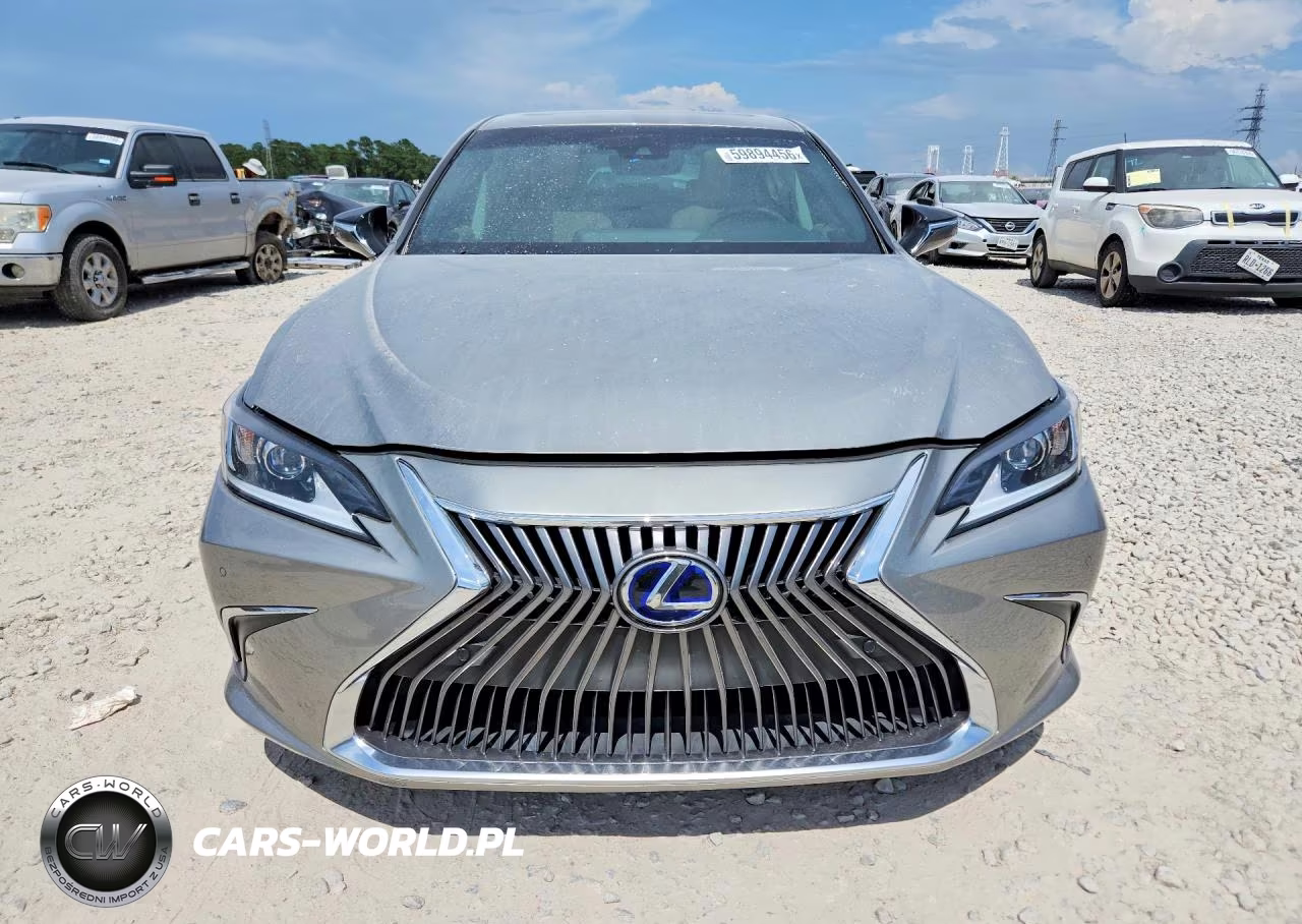 2020 Lexus Es 300H VIN:58AD21B17LU004510 - 5