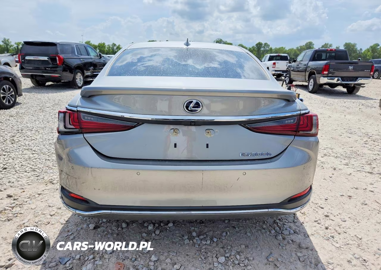 2020 Lexus Es 300H VIN:58AD21B17LU004510 - 6