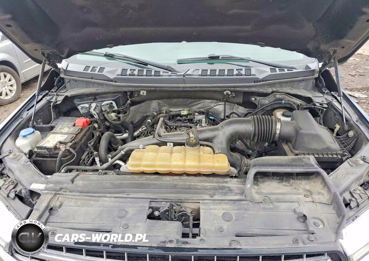 2020 Ford F150 Supercrew VIN:1FTEW1EP7LKE22436 - 11