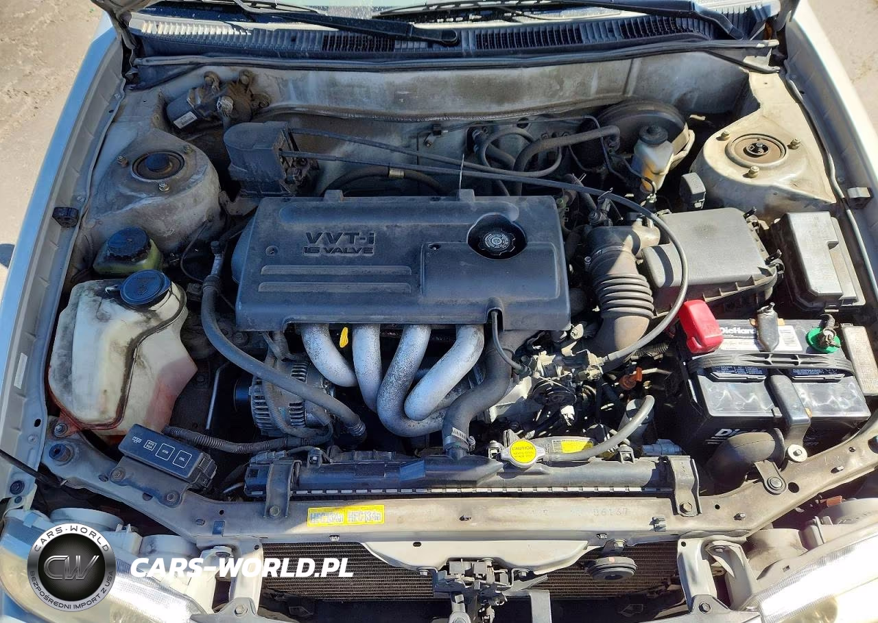 2001 Toyota Corolla Le VIN:1NXBR12EX1Z496718 - 11