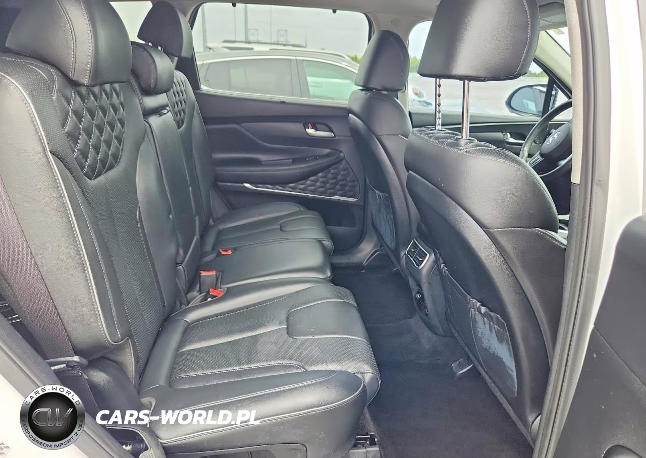 2021 Hyundai Santa Fe Limited VIN:KM8S5DA1XMU011090 - 10