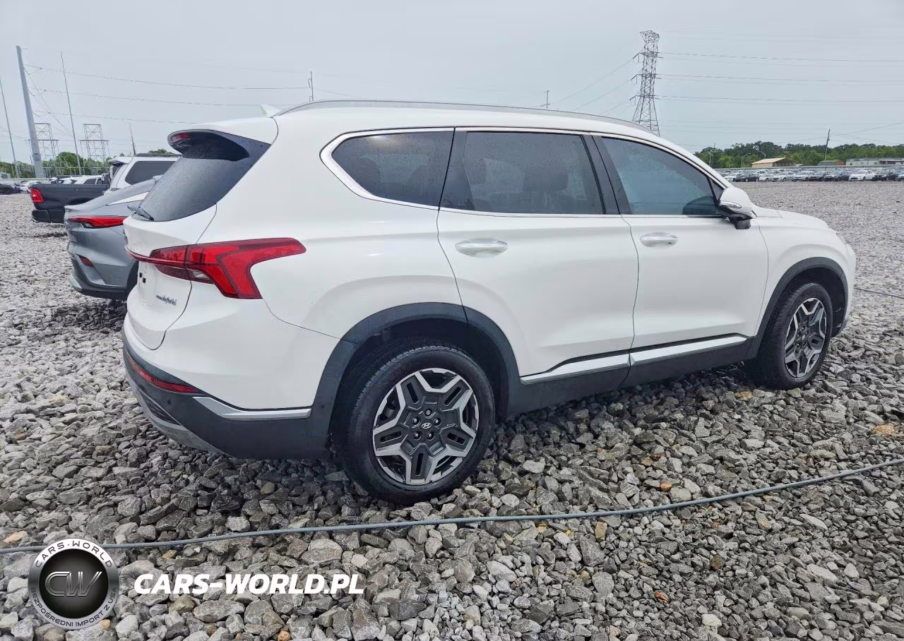 2021 Hyundai Santa Fe Limited VIN:KM8S5DA1XMU011090 - 3