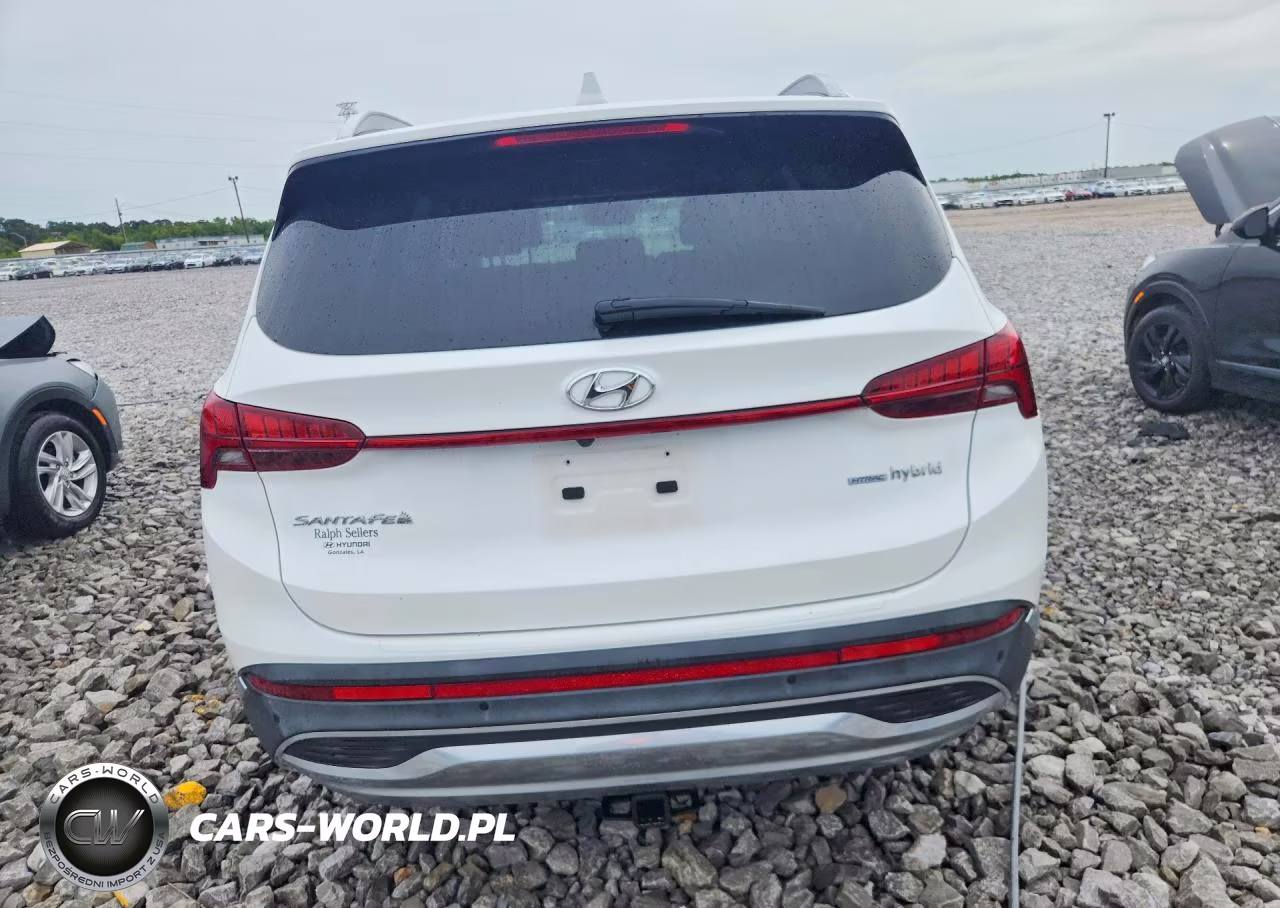 2021 Hyundai Santa Fe Limited VIN:KM8S5DA1XMU011090 - 6