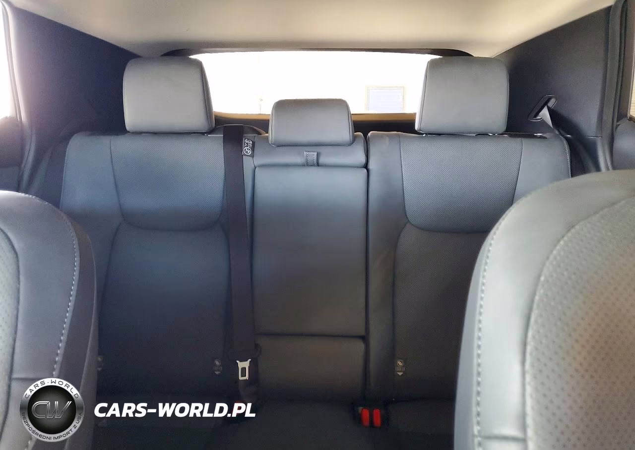 2024 Lexus Rz 300E VIN:JTJABABB0RA001043 - 10