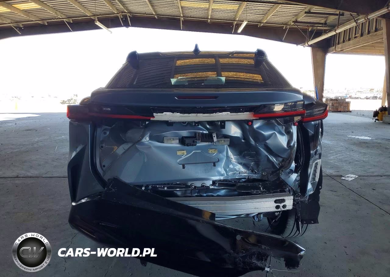 2024 Lexus Rz 300E VIN:JTJABABB0RA001043 - 6