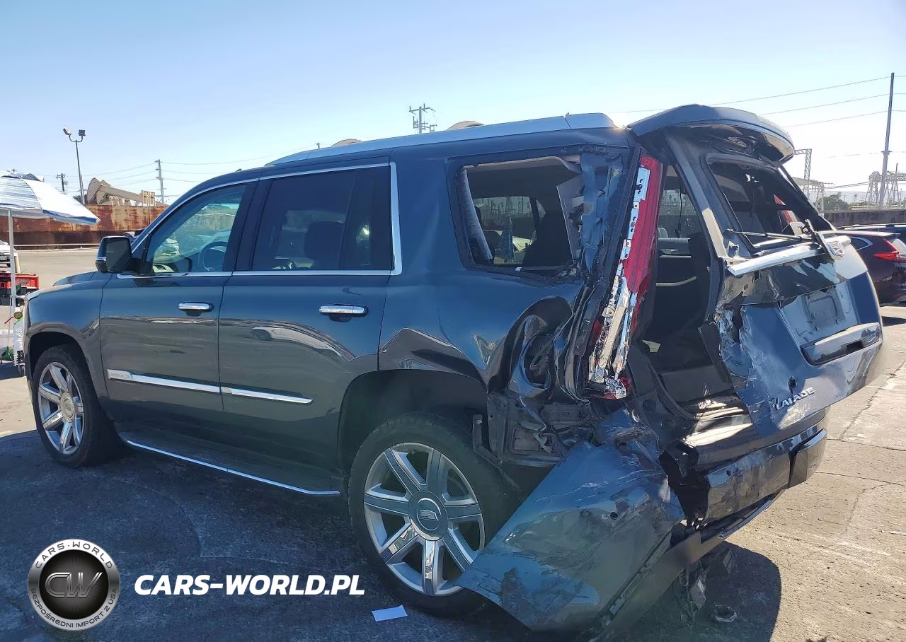 2019 Cadillac Escalade Luxury VIN:1GYS4BKJ6KR244839 - 2