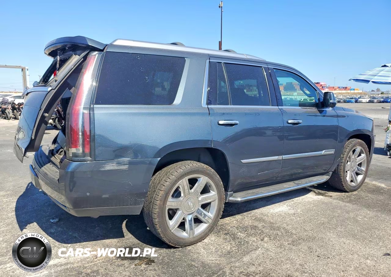 2019 Cadillac Escalade Luxury VIN:1GYS4BKJ6KR244839 - 3