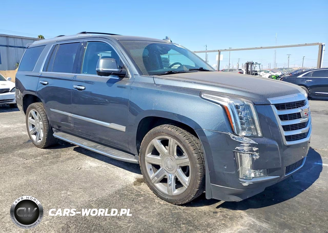 2019 Cadillac Escalade Luxury VIN:1GYS4BKJ6KR244839 - 4