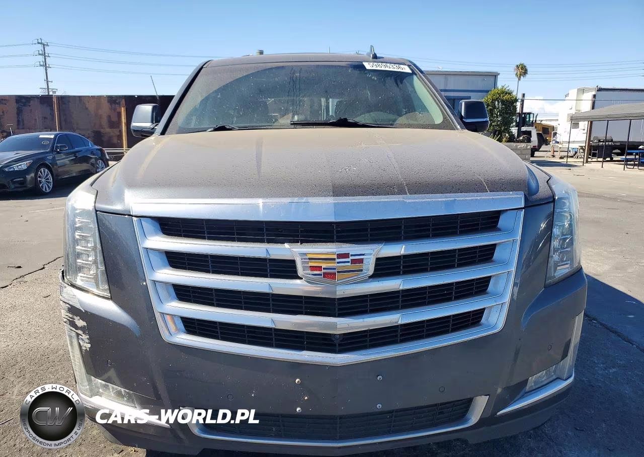 2019 Cadillac Escalade Luxury VIN:1GYS4BKJ6KR244839 - 5