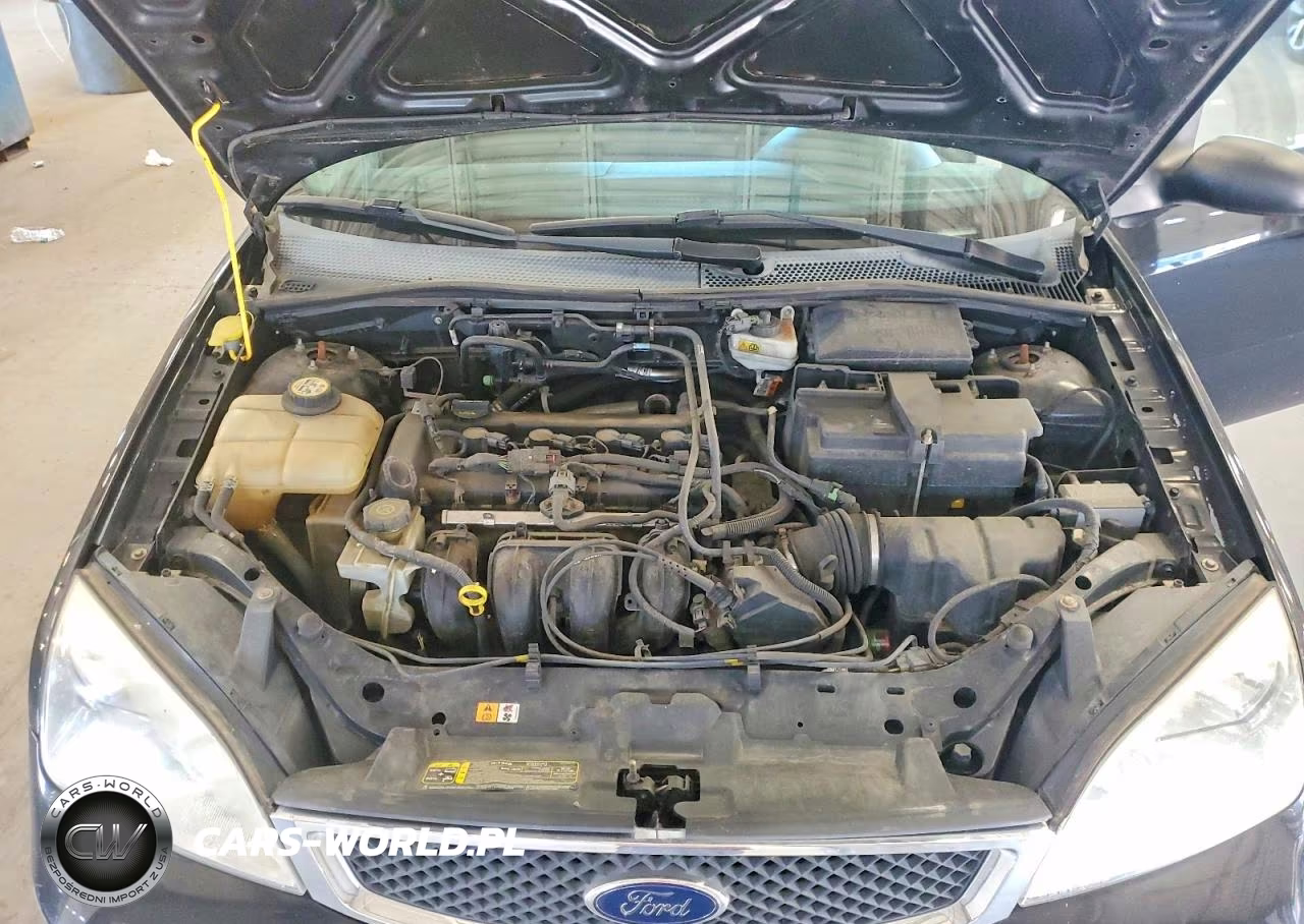 2006 Ford Focus Zx4 VIN:1FAHP34N46W142045 - 11