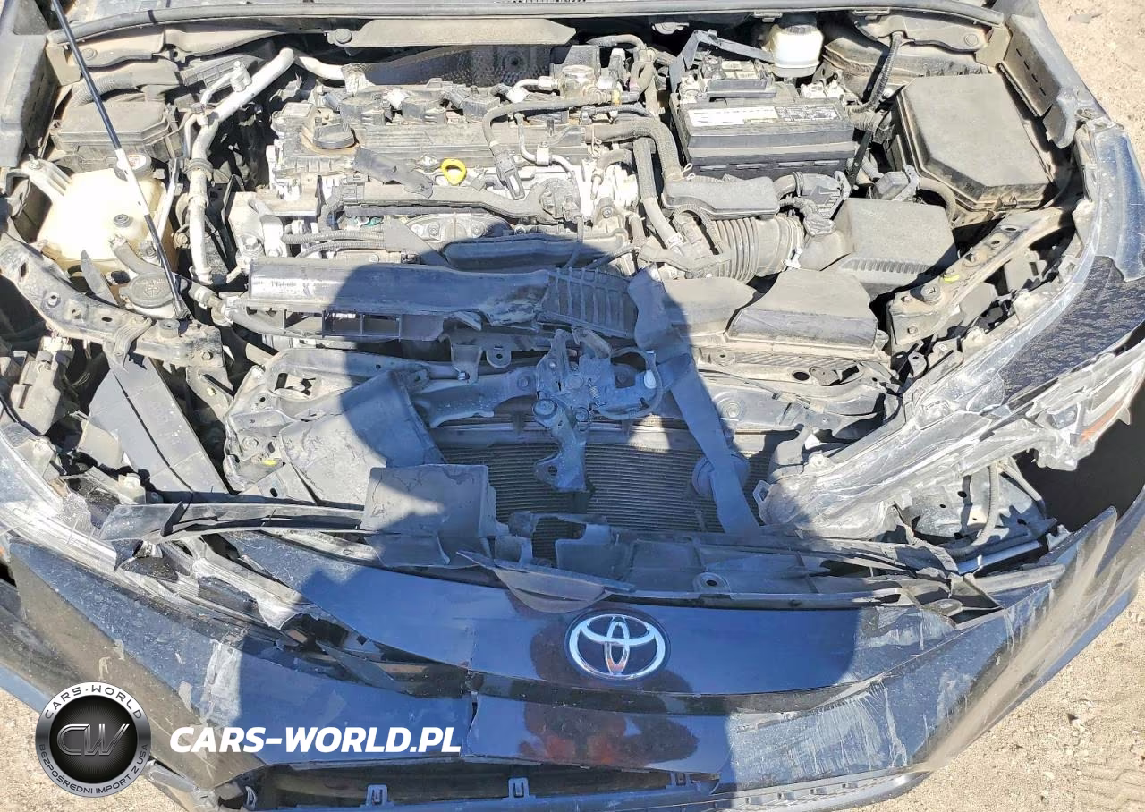 2020 Toyota Corolla Se VIN:JTDS4RCE3LJ028365 - 11