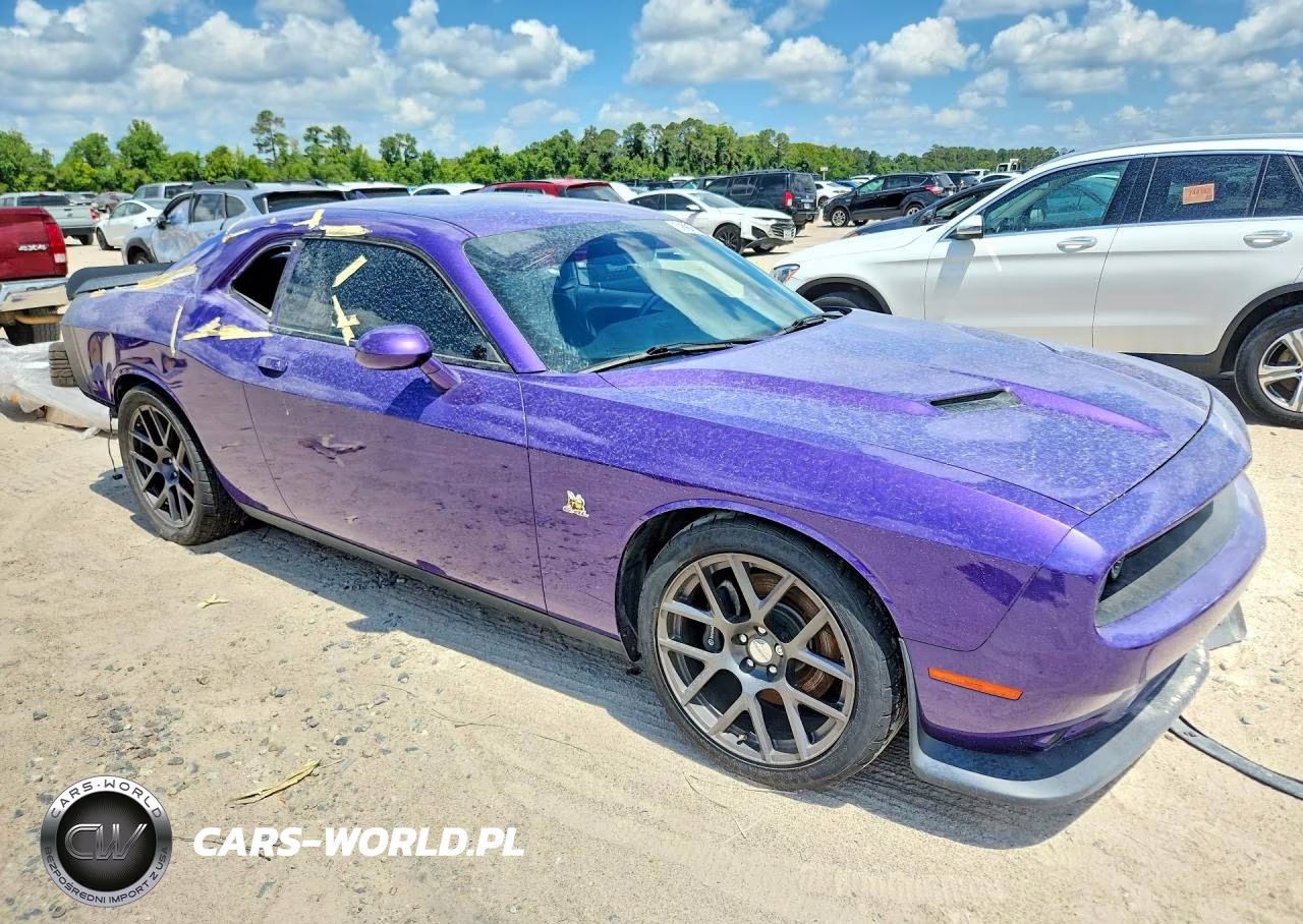 2016 Dodge Challenger R-T Scat Pack VIN:2C3CDZFJ8GH195443 - 4