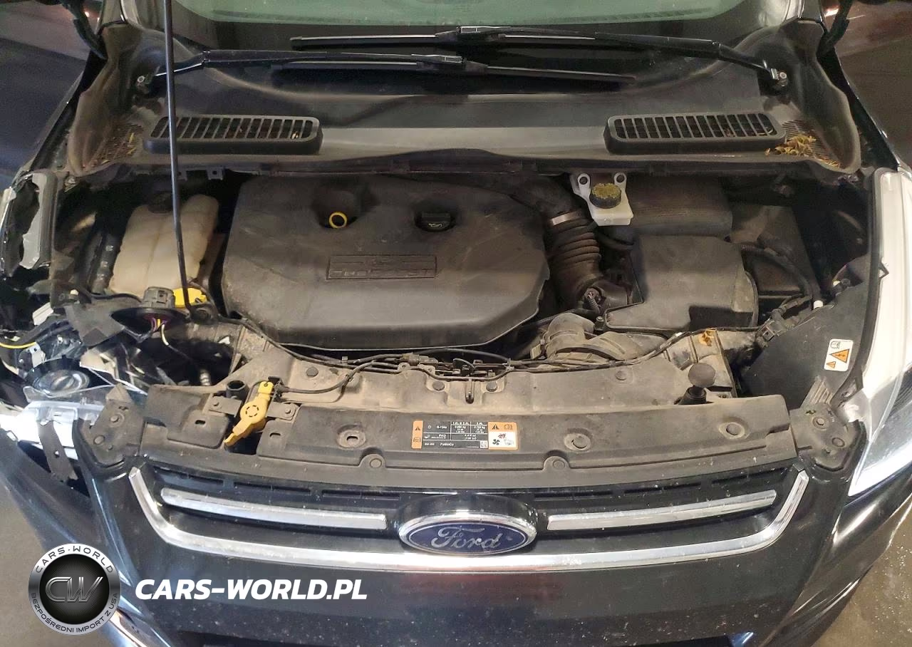 2014 Ford Escape Titanium VIN:1FMCU9J9XEUC37514 - 12
