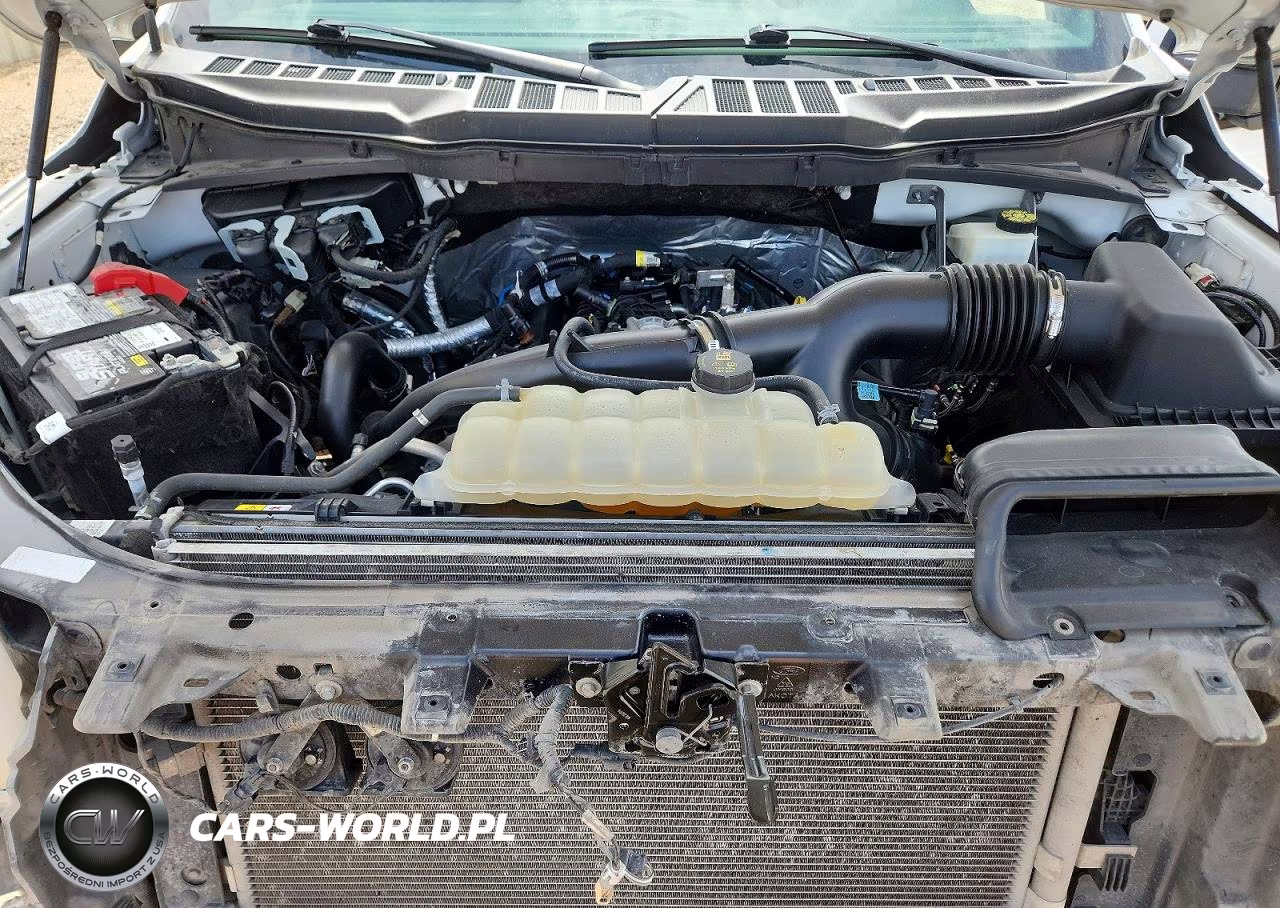 2023 Ford F150 Supercrew VIN:1FTEW1CP4PKF10966 - 11