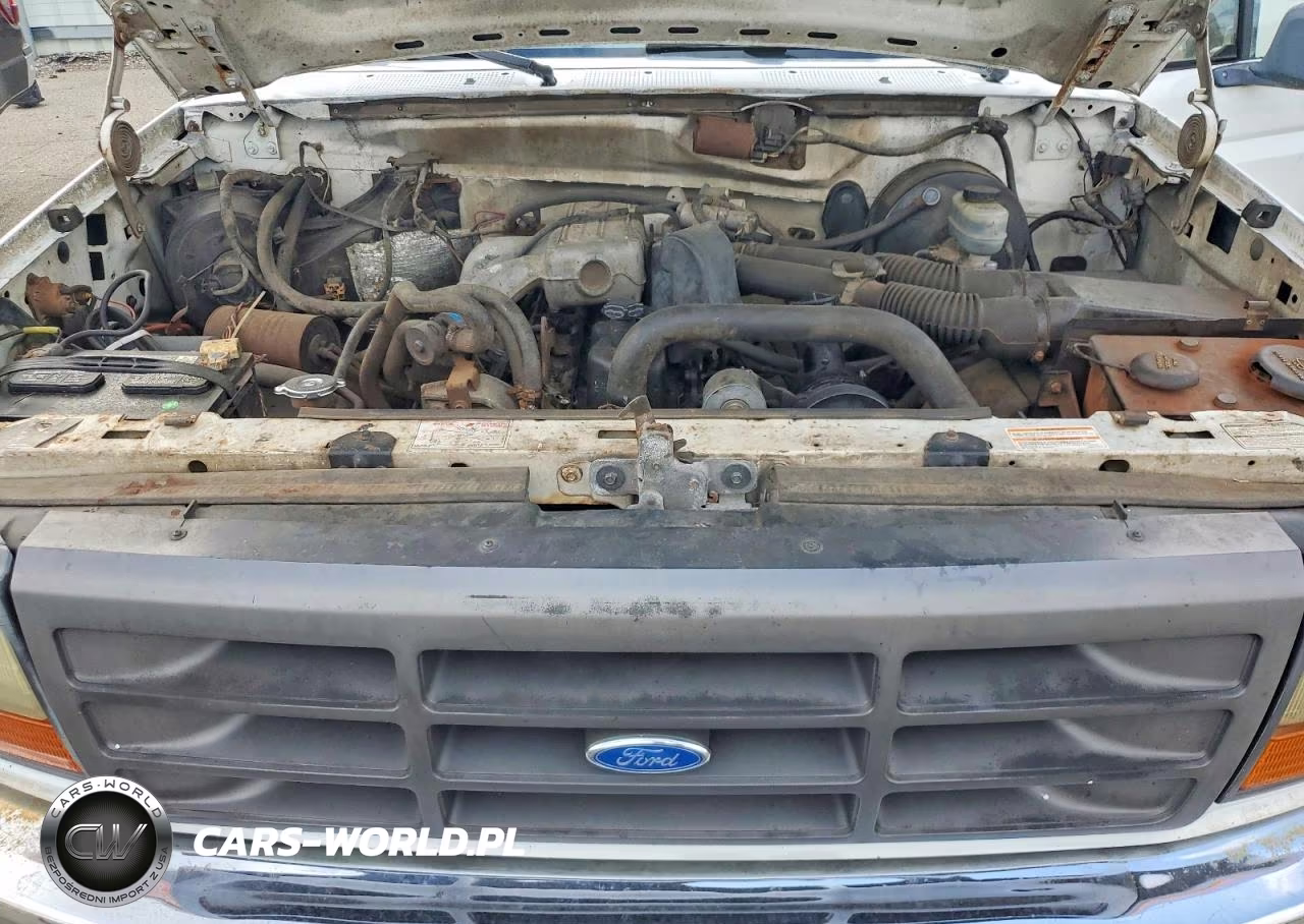 1994 Ford F250 VIN:1FTEF25Y9RLA70574 - 11