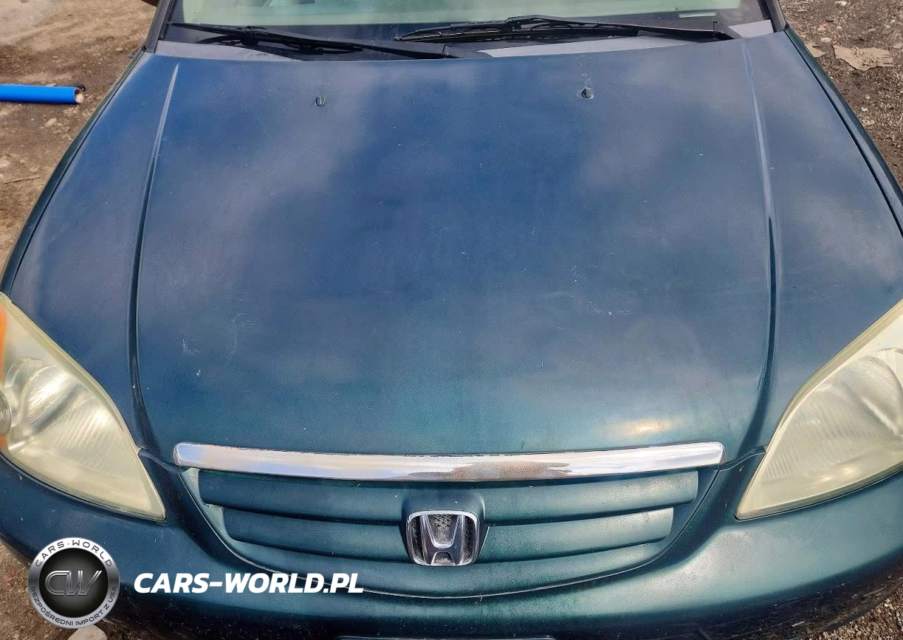 2002 Honda Civic Dx VIN:2HGES16142H552218 - 11
