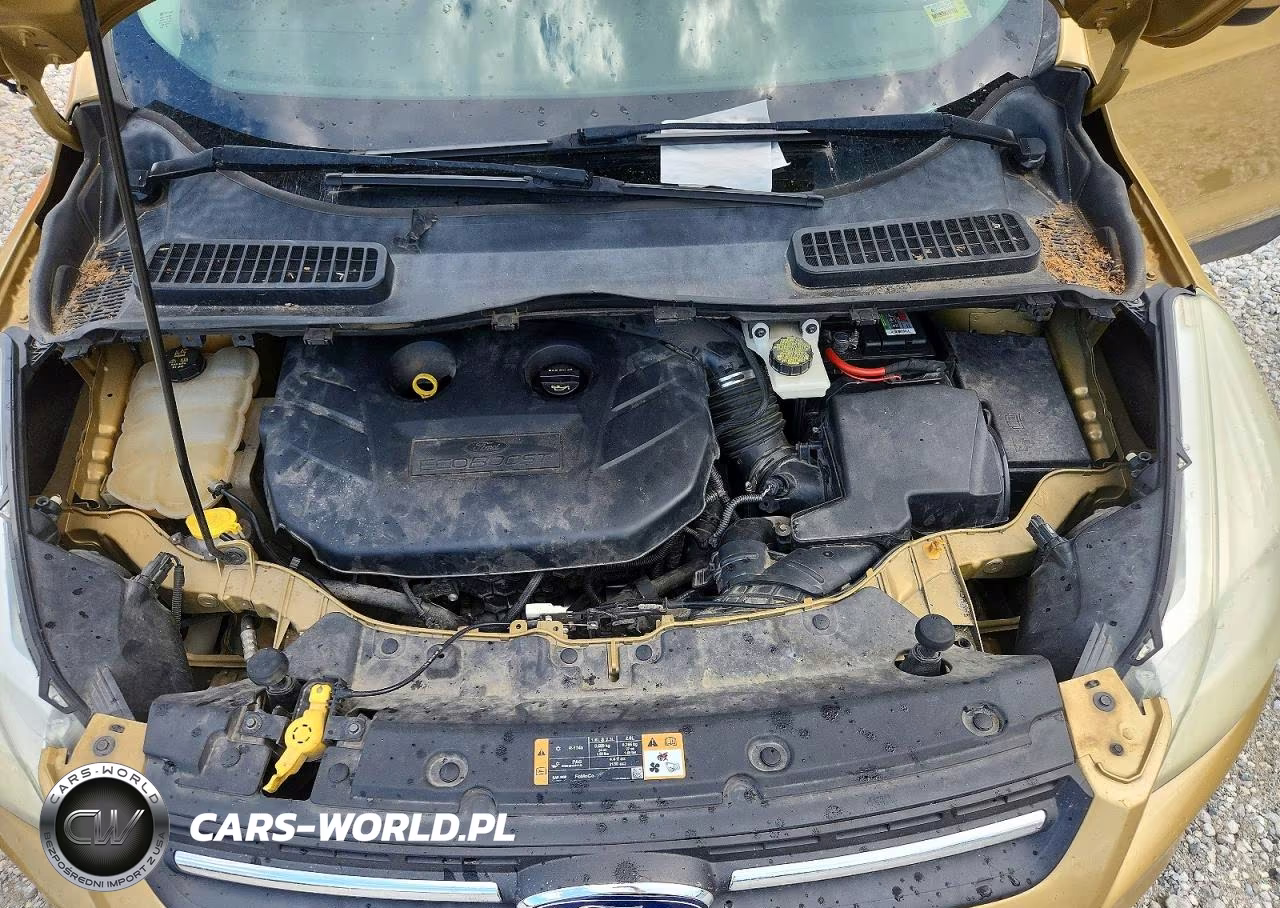 2014 Ford Escape Se VIN:1FMCU0G90EUE08550 - 12
