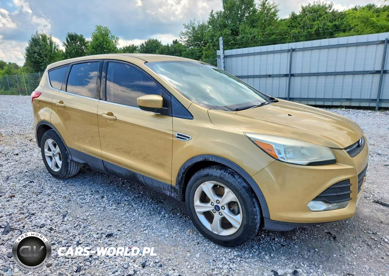 2014 Ford Escape Se VIN:1FMCU0G90EUE08550 - 4
