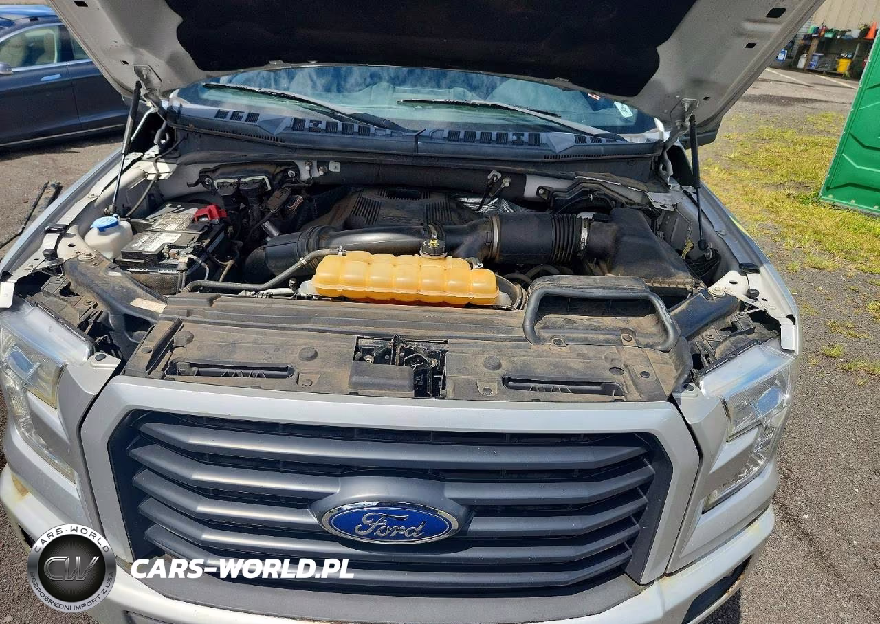 2017 Ford F150 Supercrew VIN:1FTEW1EG8HKD53702 - 11
