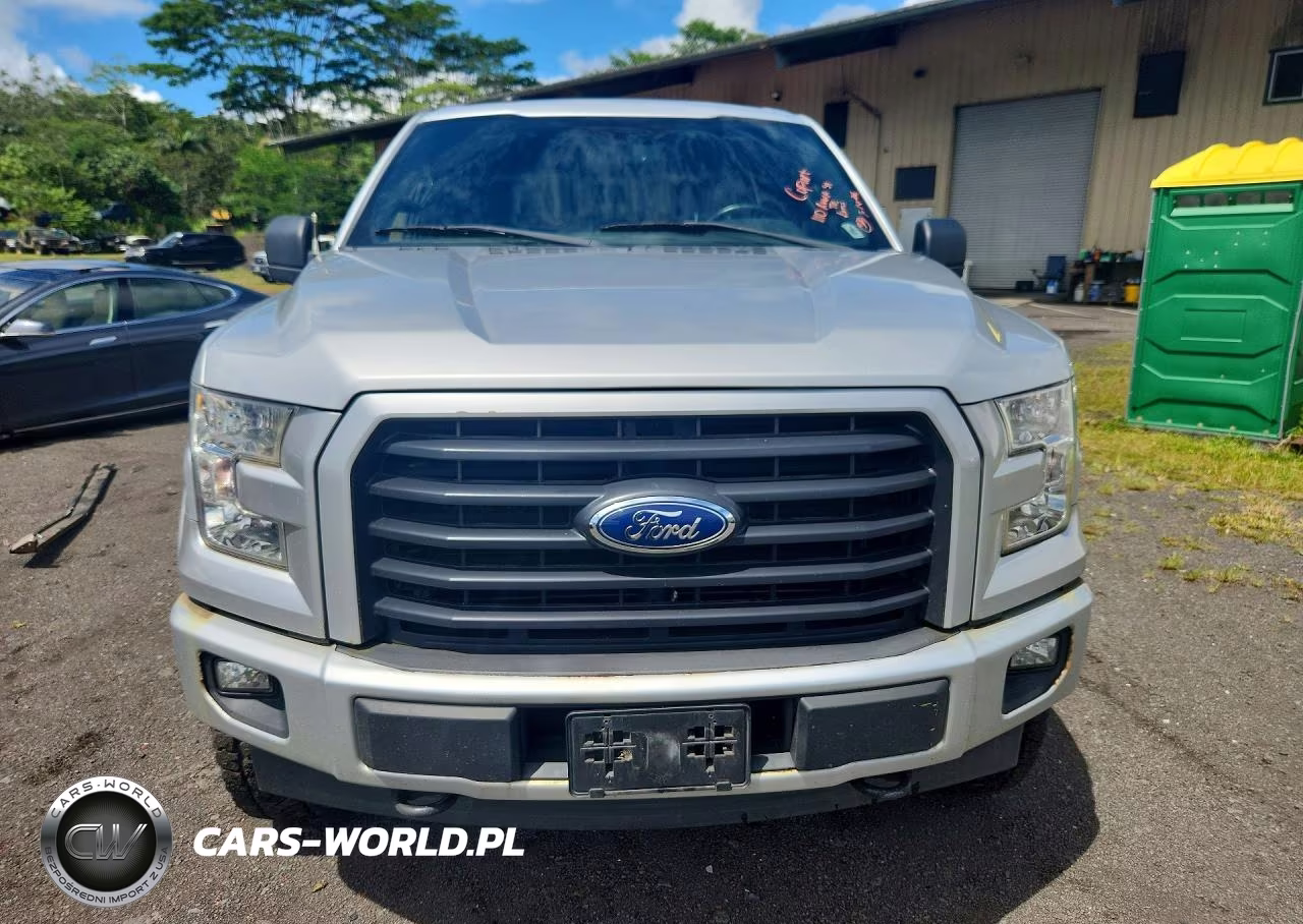 2017 Ford F150 Supercrew VIN:1FTEW1EG8HKD53702 - 5