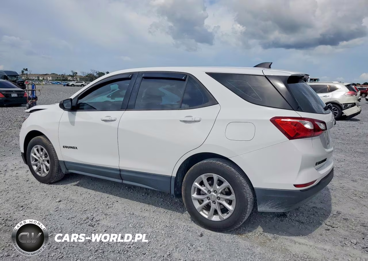 2019 Chevrolet Equinox Ls VIN:3GNAXHEVXKS619436 - 2