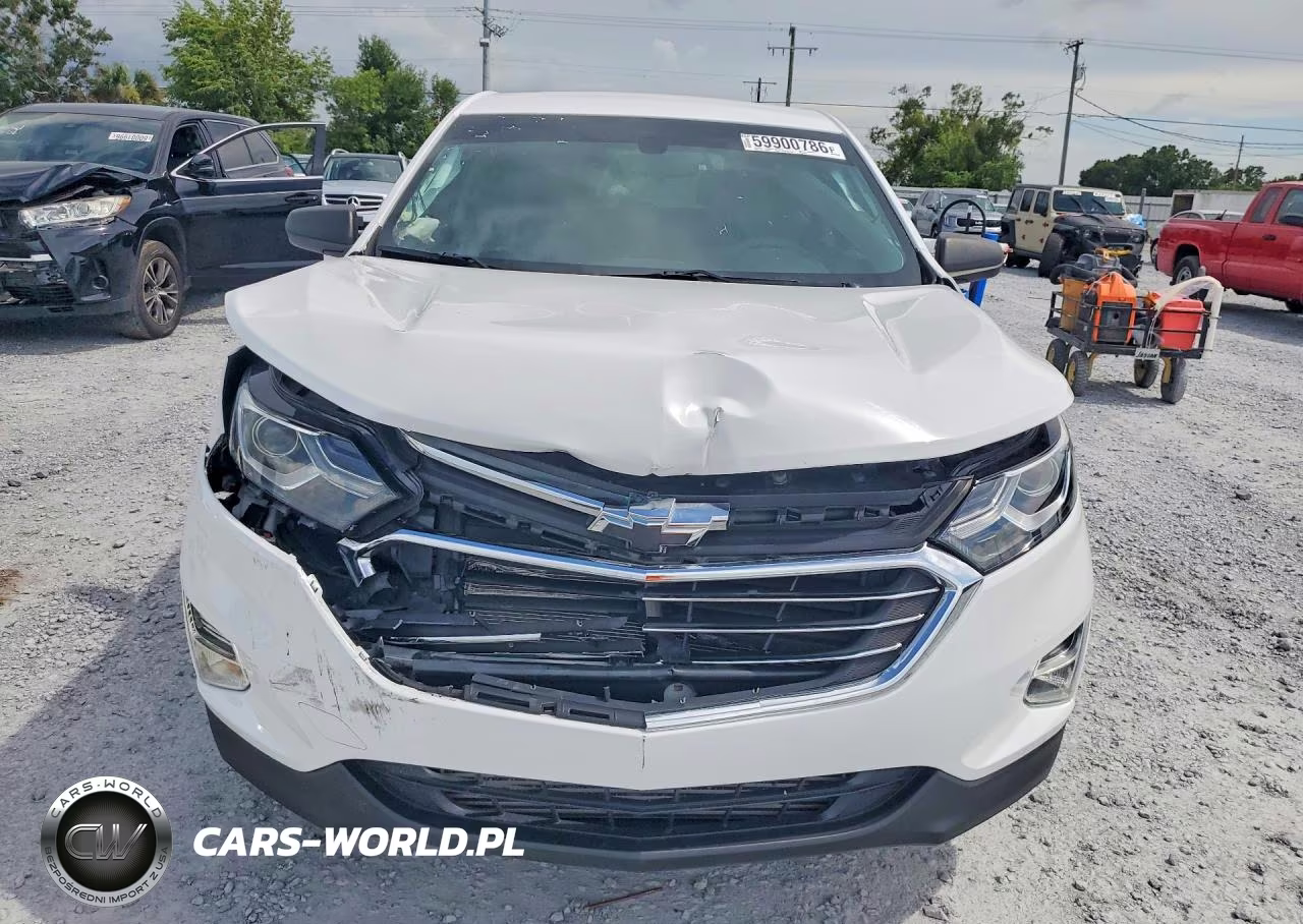 2019 Chevrolet Equinox Ls VIN:3GNAXHEVXKS619436 - 5