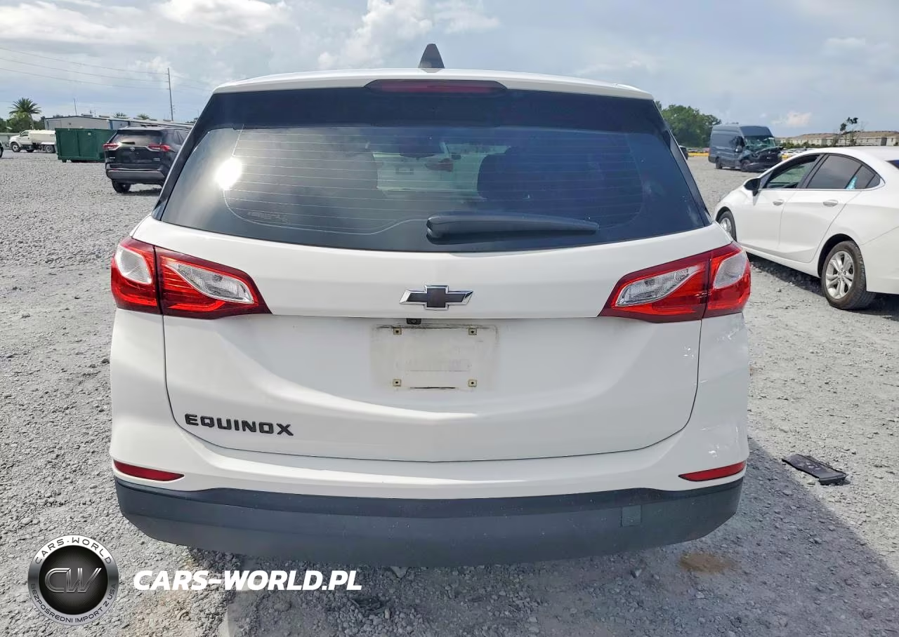 2019 Chevrolet Equinox Ls VIN:3GNAXHEVXKS619436 - 6