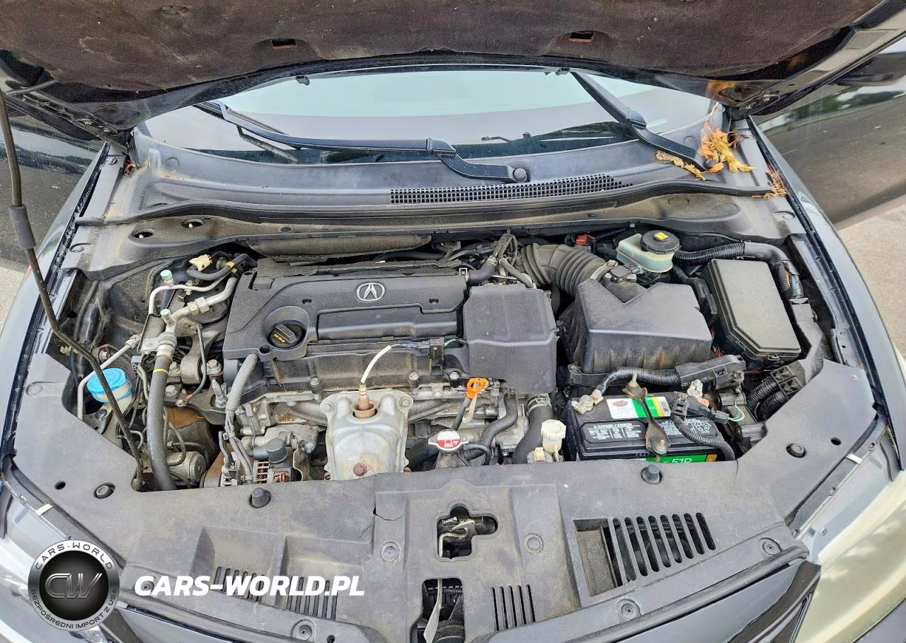 2016 Acura Ilx Premium VIN:19UDE2F84GA000178 - 11