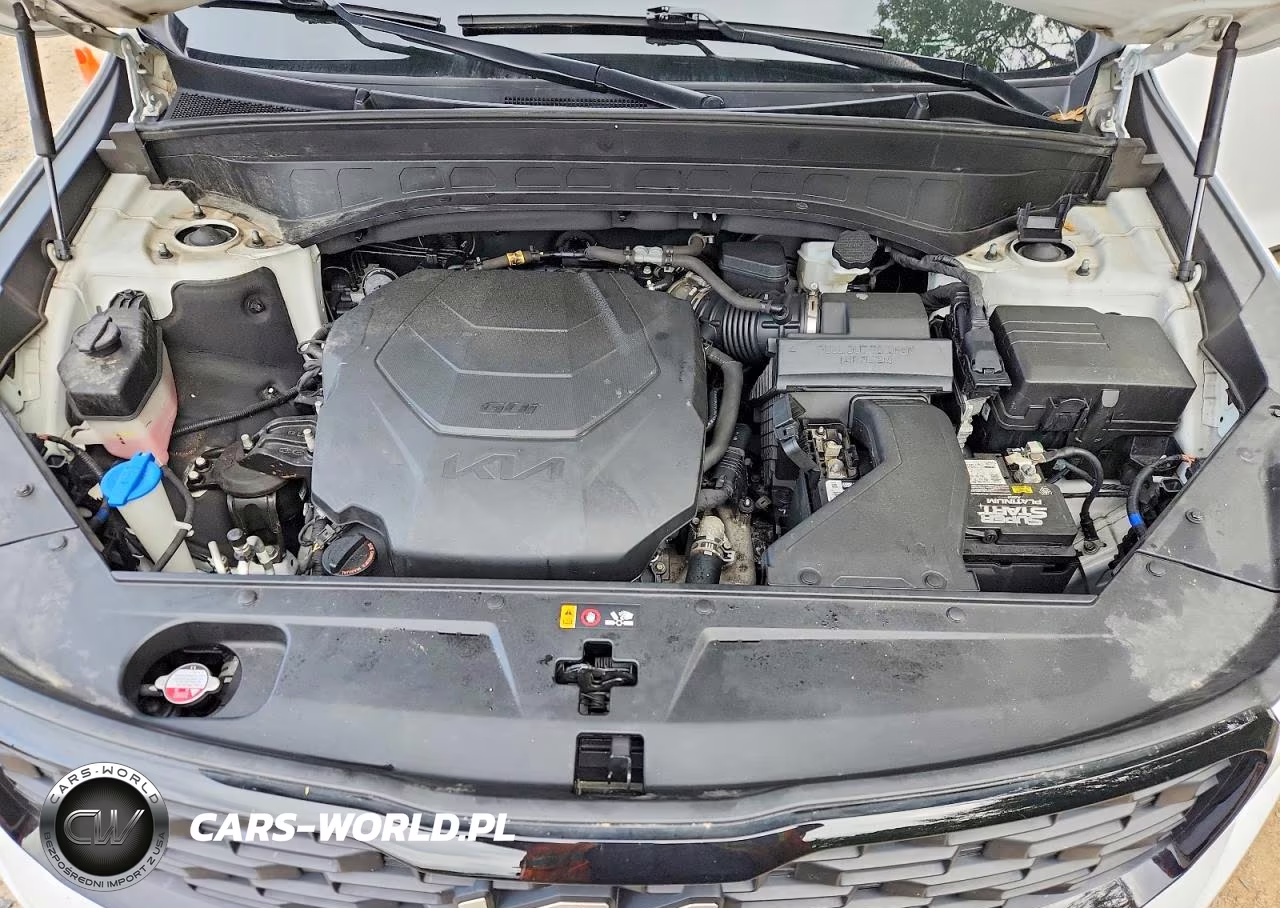 2022 Kia Telluride Sx VIN:5XYP5DHC2NG225463 - 12