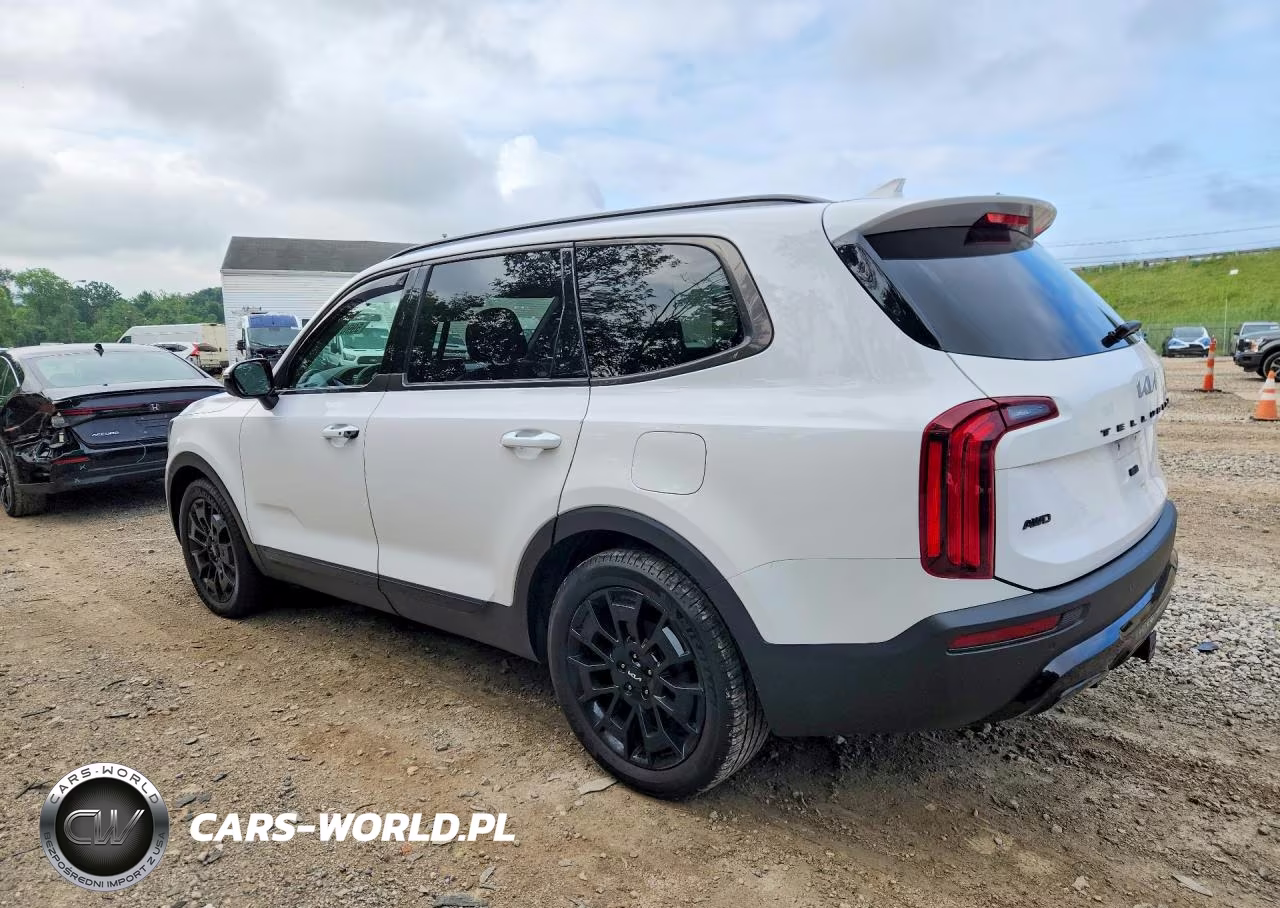 2022 Kia Telluride Sx VIN:5XYP5DHC2NG225463 - 2