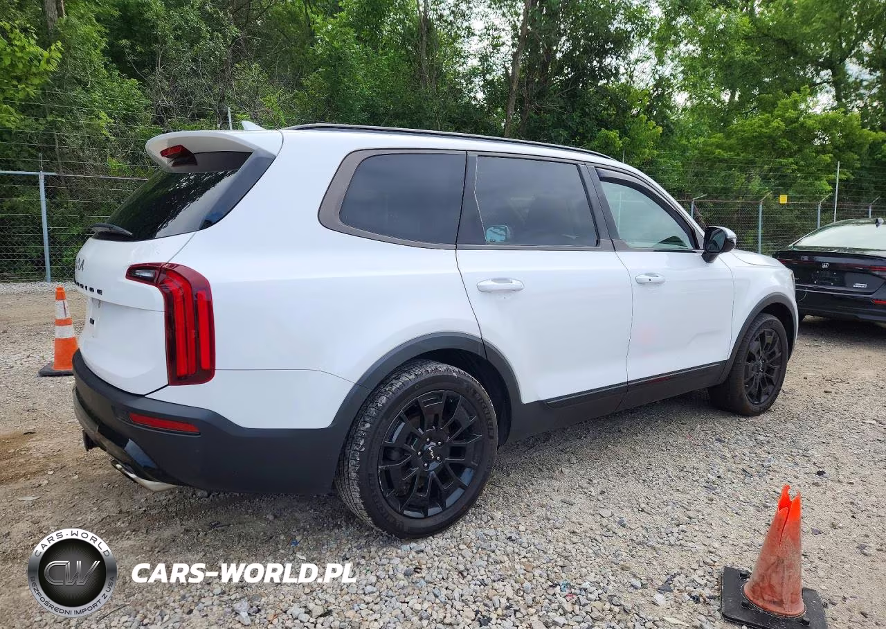 2022 Kia Telluride Sx VIN:5XYP5DHC2NG225463 - 3