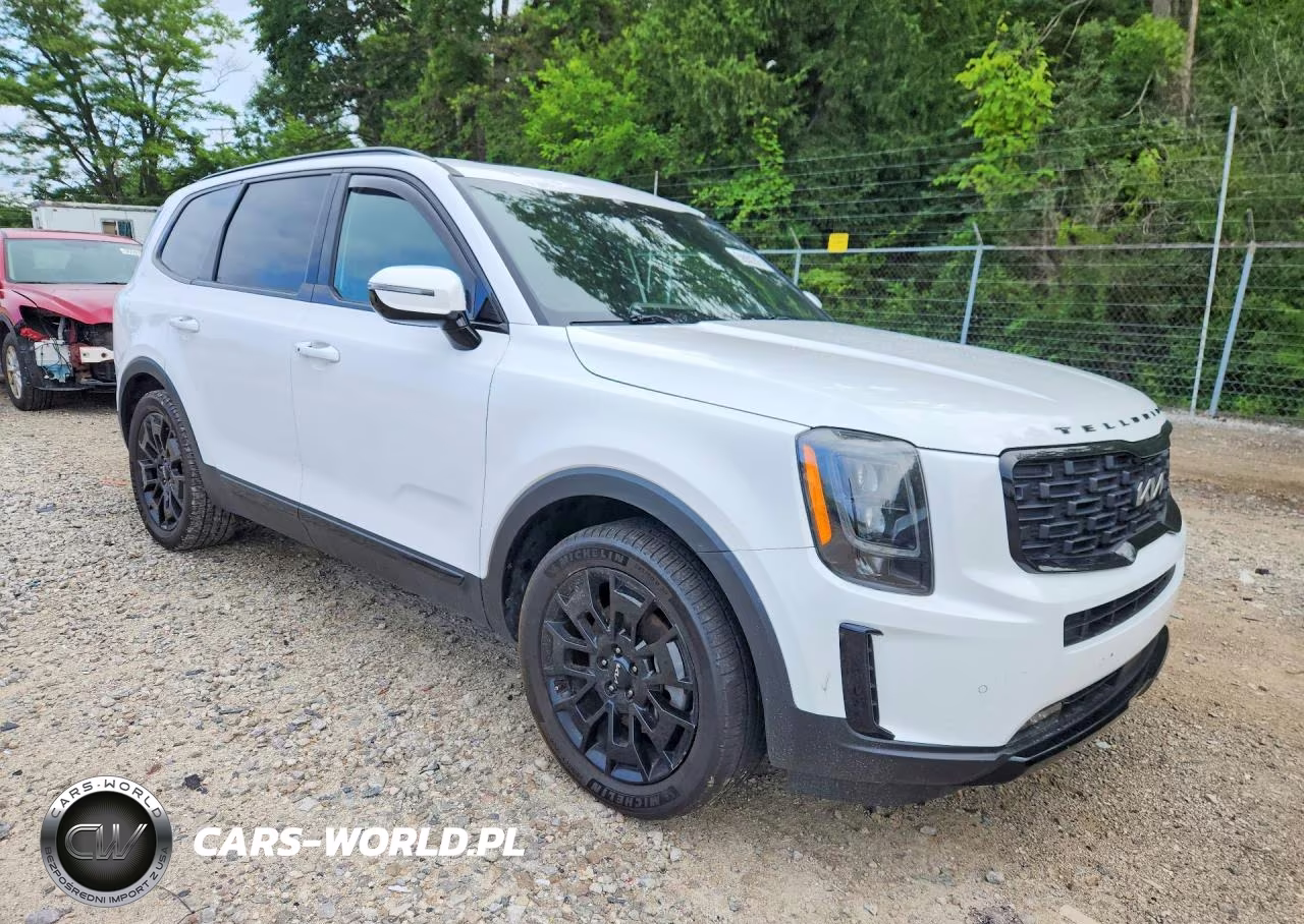 2022 Kia Telluride Sx VIN:5XYP5DHC2NG225463 - 4