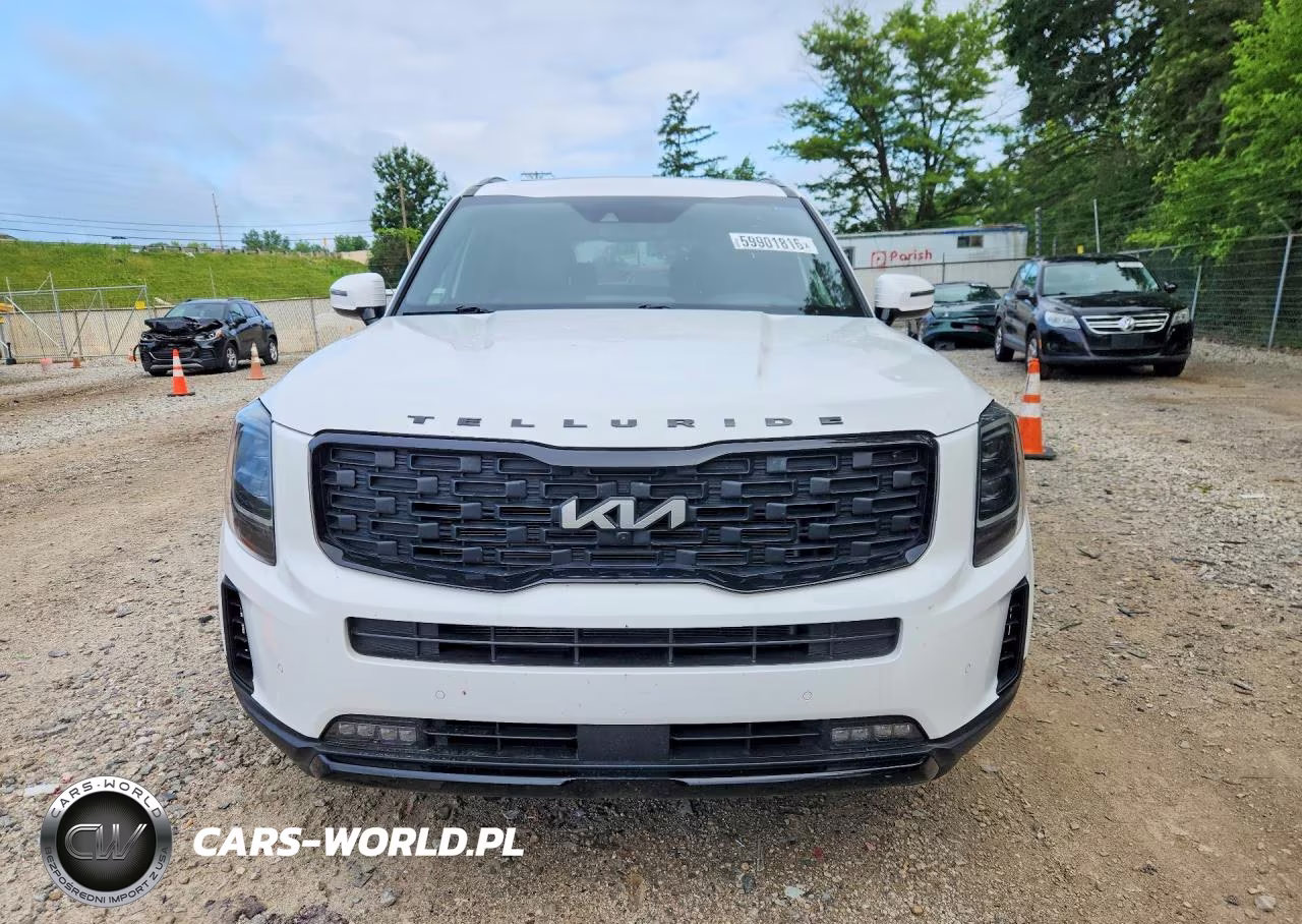 2022 Kia Telluride Sx VIN:5XYP5DHC2NG225463 - 5