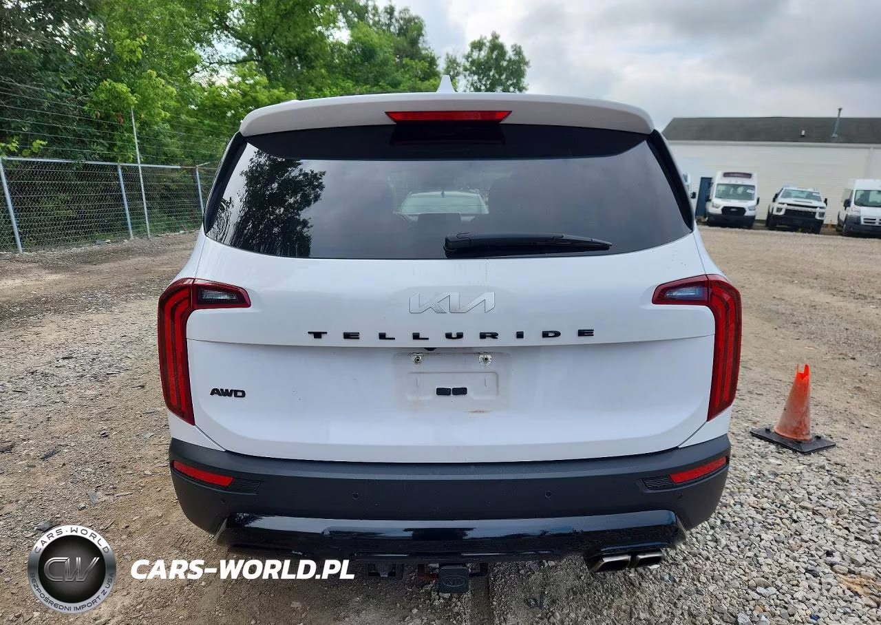 2022 Kia Telluride Sx VIN:5XYP5DHC2NG225463 - 6