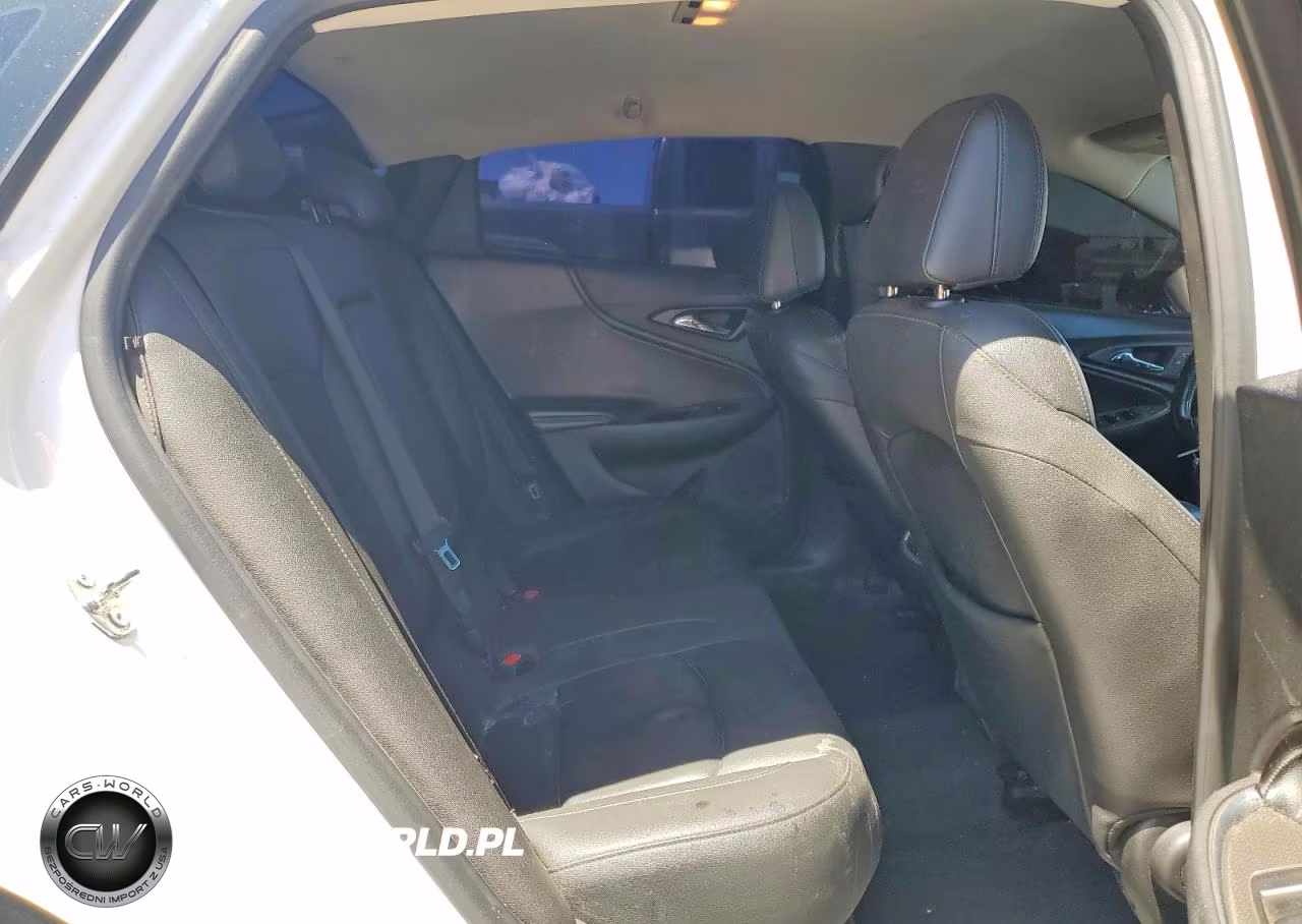 2019 Chevrolet Malibu Lt VIN:1G1ZD5ST6KF117753 - 10