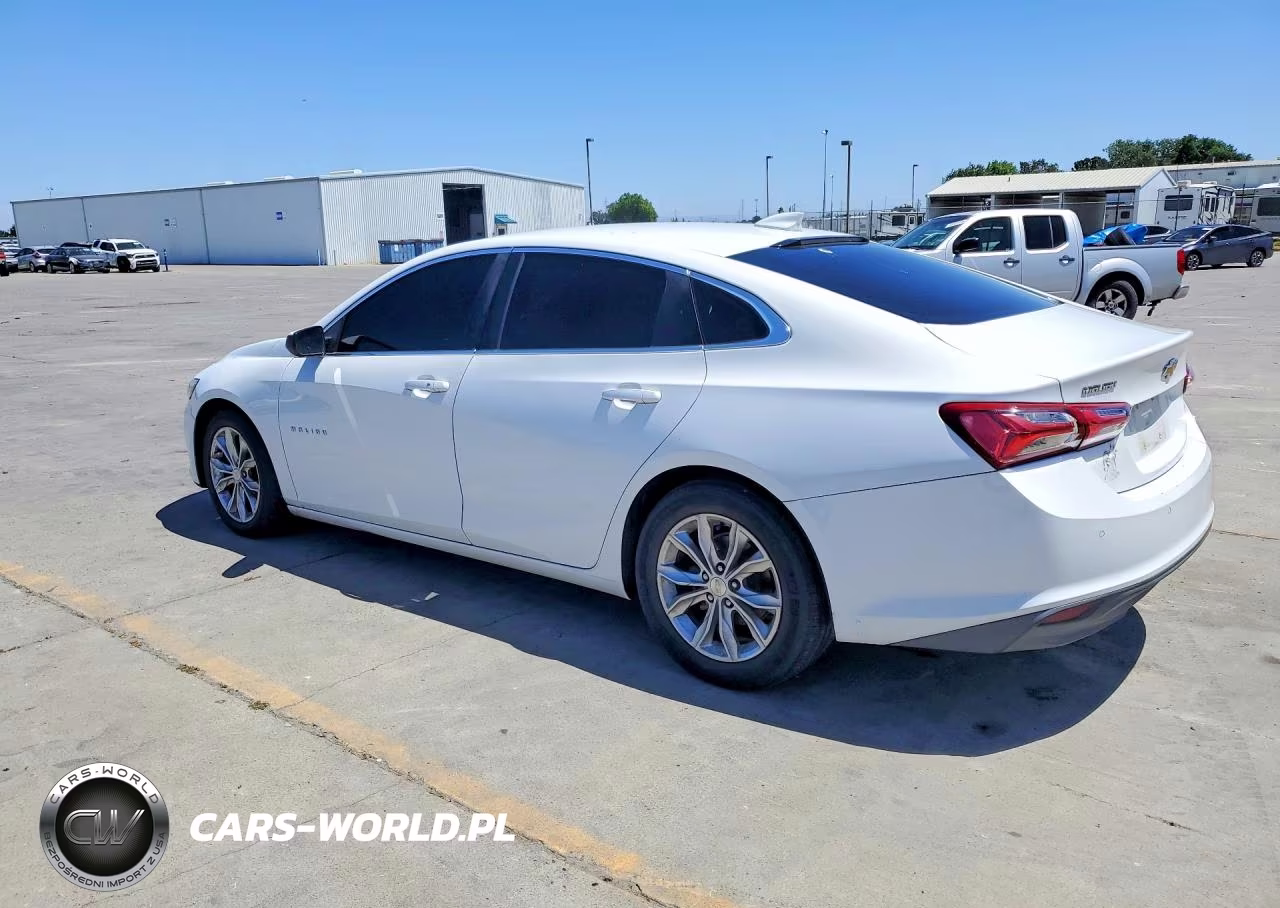2019 Chevrolet Malibu Lt VIN:1G1ZD5ST6KF117753 - 2