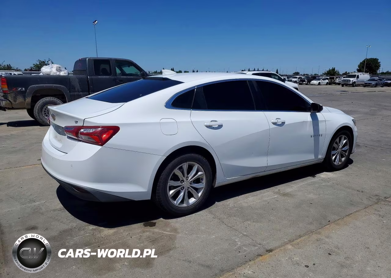 2019 Chevrolet Malibu Lt VIN:1G1ZD5ST6KF117753 - 3
