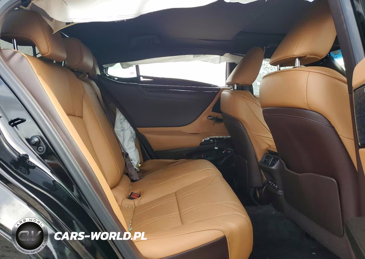 2020 Lexus Es 350 Luxury VIN:58AEZ1B17LU070202 - 10