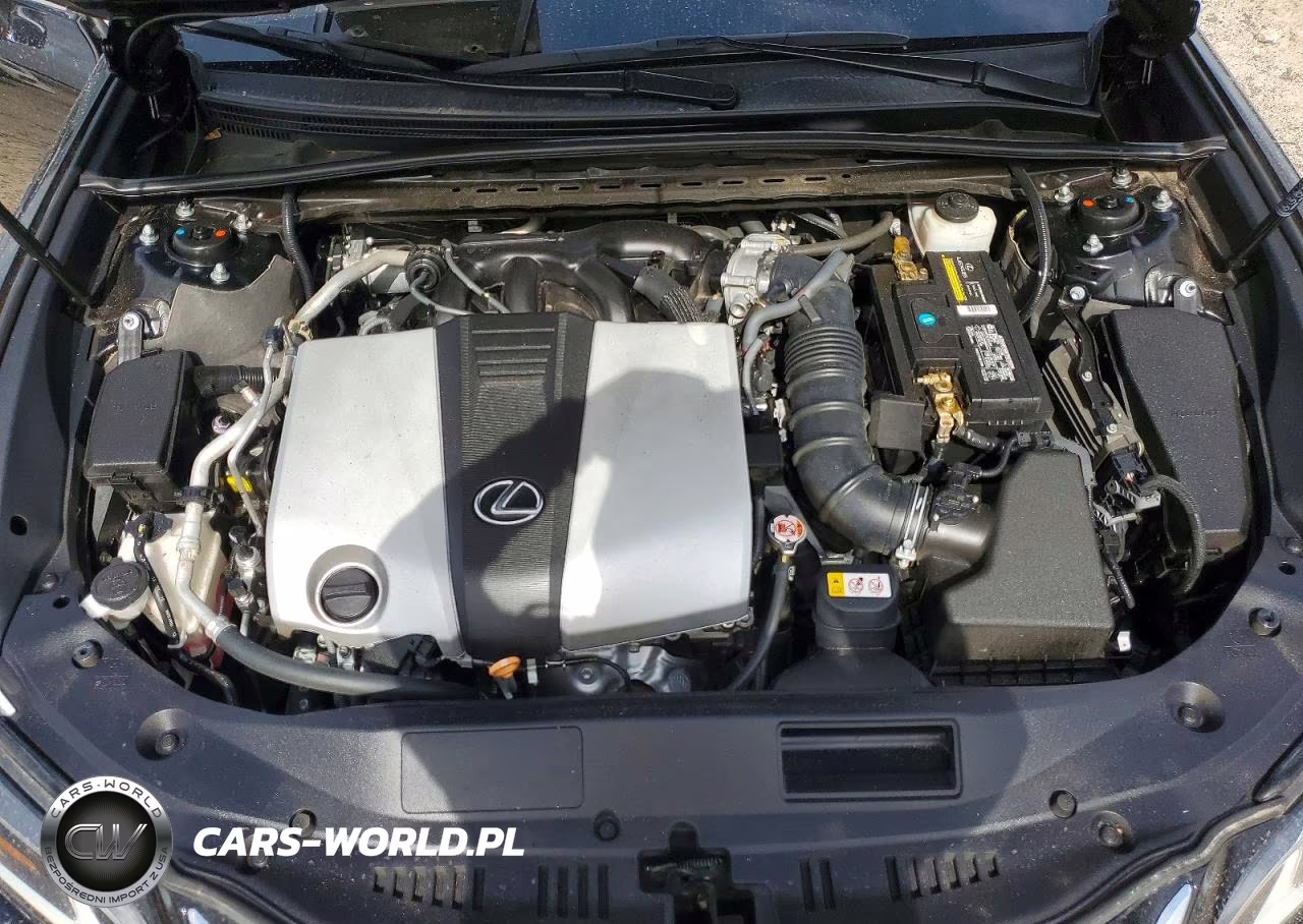 2020 Lexus Es 350 Luxury VIN:58AEZ1B17LU070202 - 11