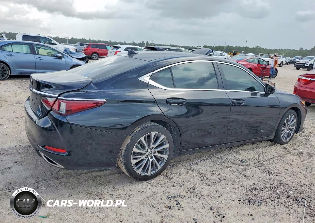 2020 Lexus Es 350 Luxury VIN:58AEZ1B17LU070202 - 3