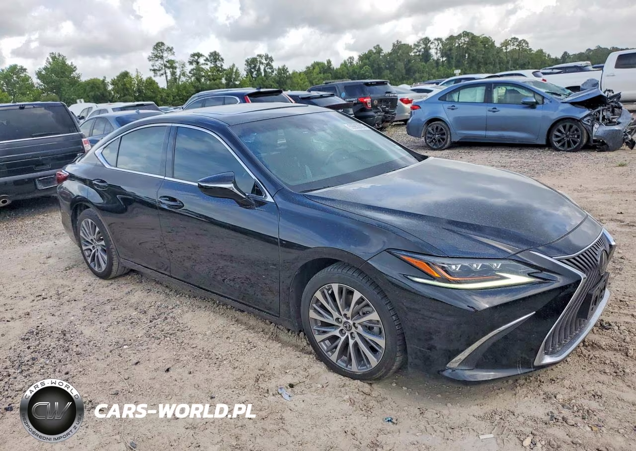 2020 Lexus Es 350 Luxury VIN:58AEZ1B17LU070202 - 4