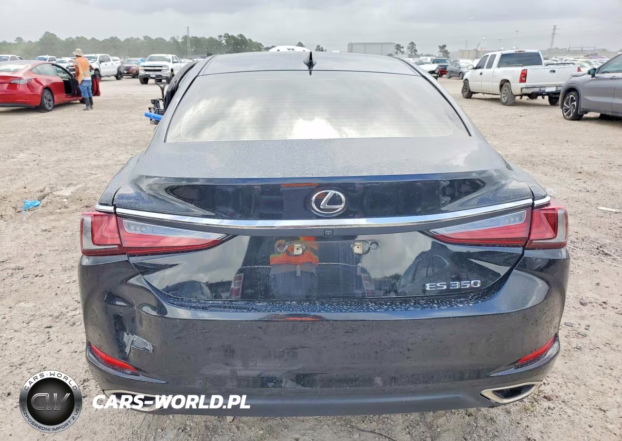 2020 Lexus Es 350 Luxury VIN:58AEZ1B17LU070202 - 6